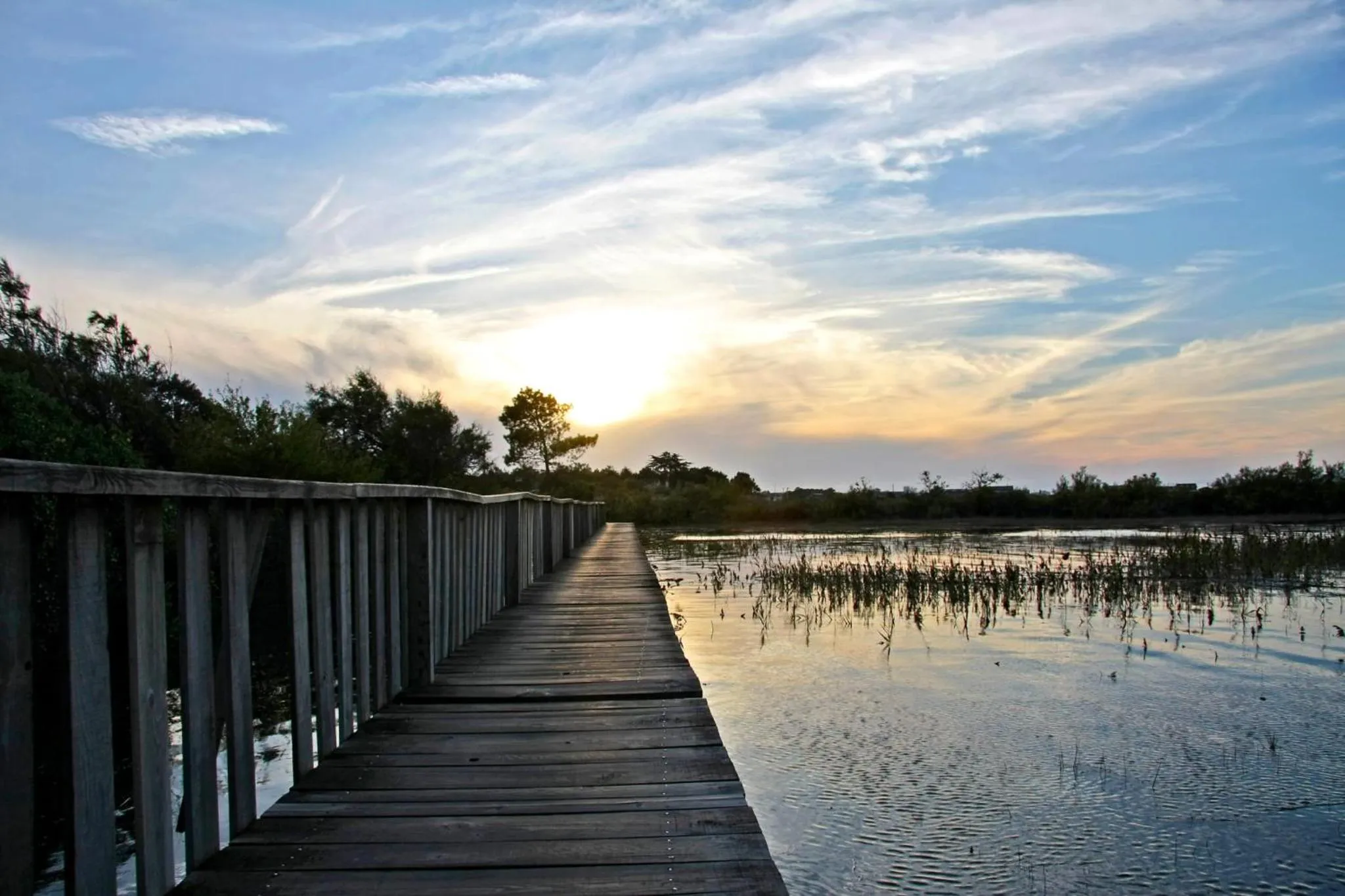 Natural landscape in La Cabane Bohème, Maison d'hôtes Bassin d'Arcachon