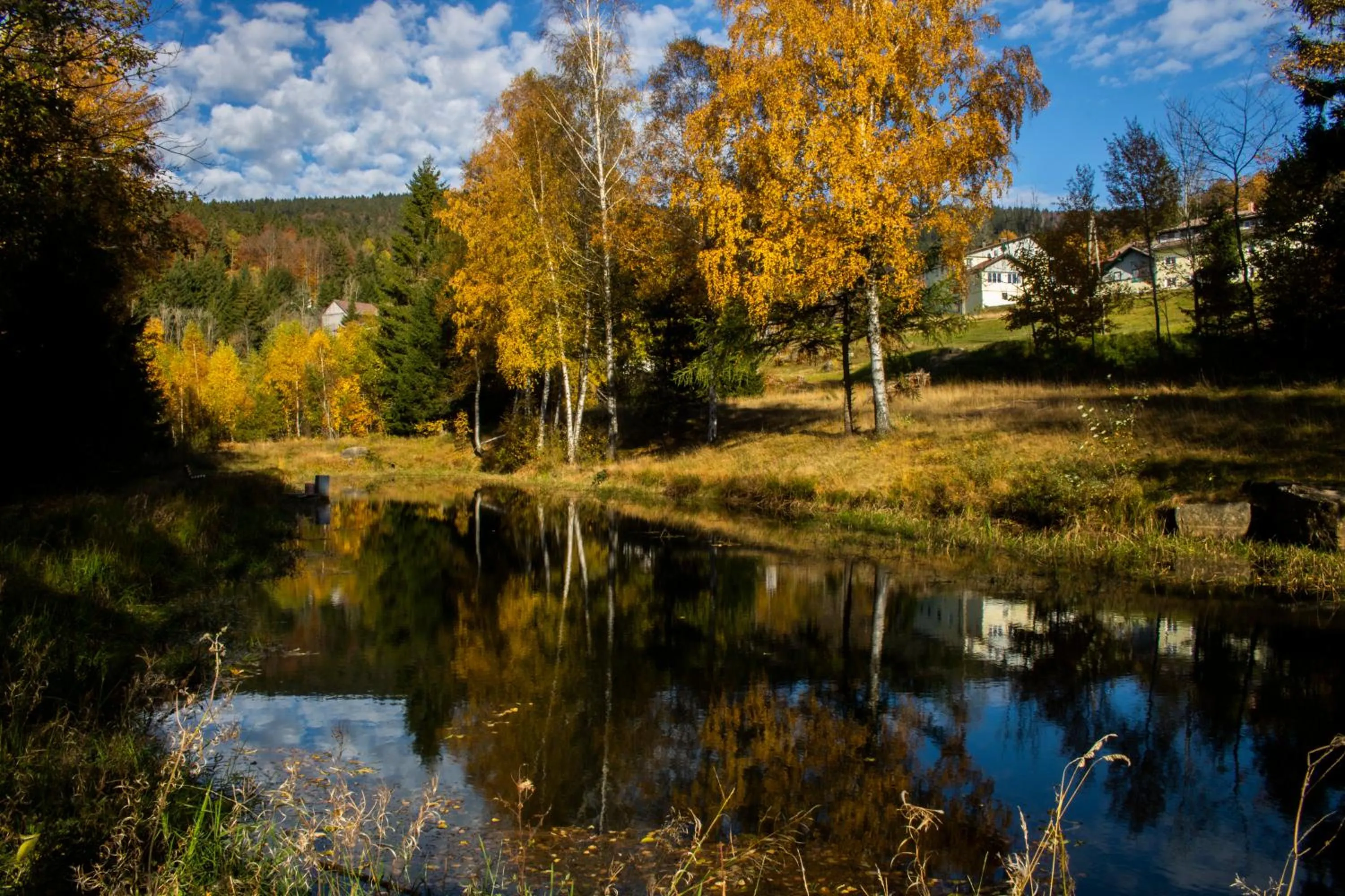 Natural landscape in Gasthof Dreiländereck
