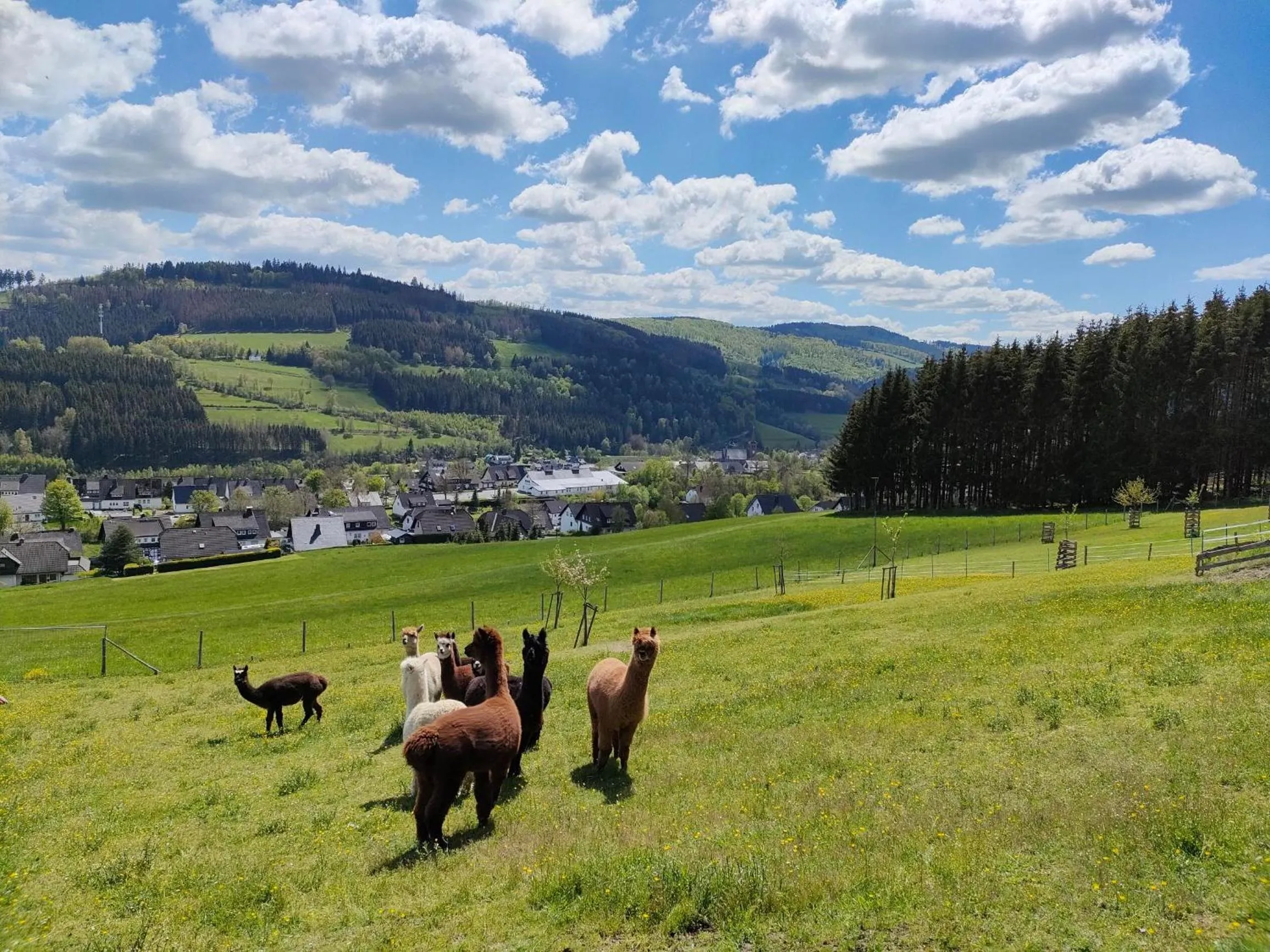 View (from property/room) in Pension Sauerland