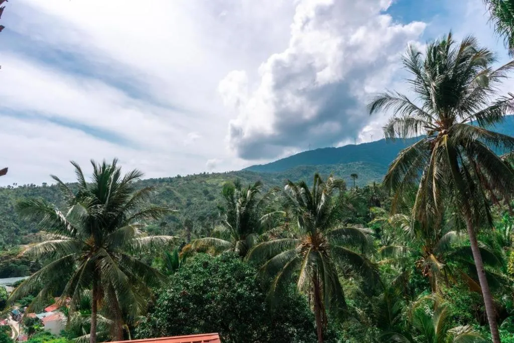 Quiet street view in AV Suites