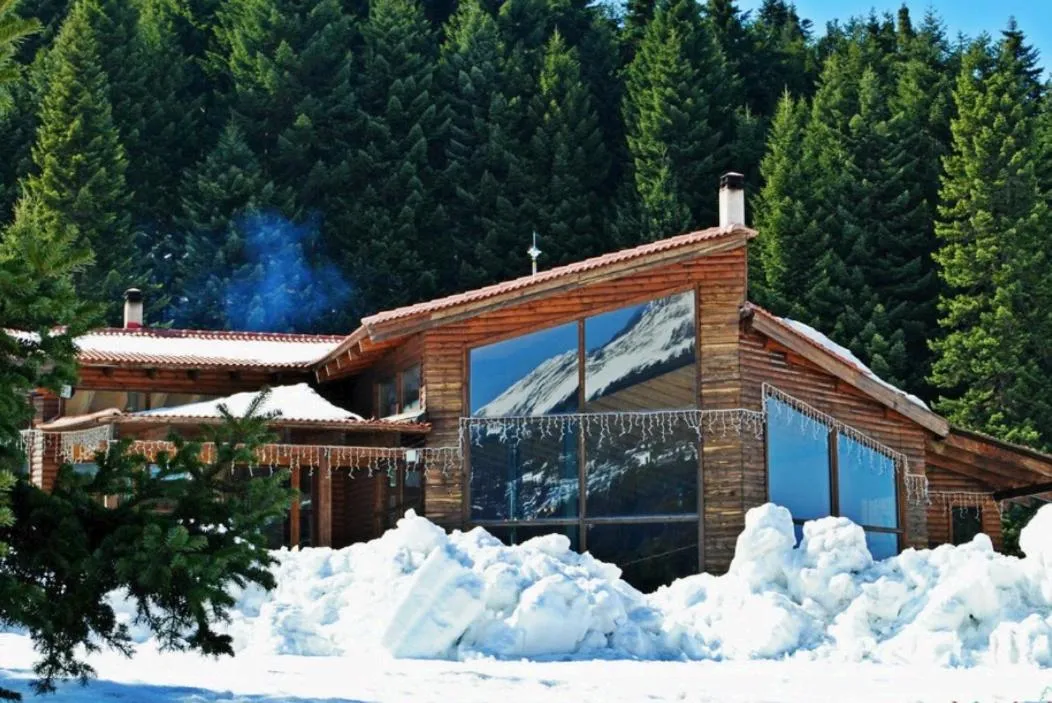 Winter in Elati Electra's Cozy House