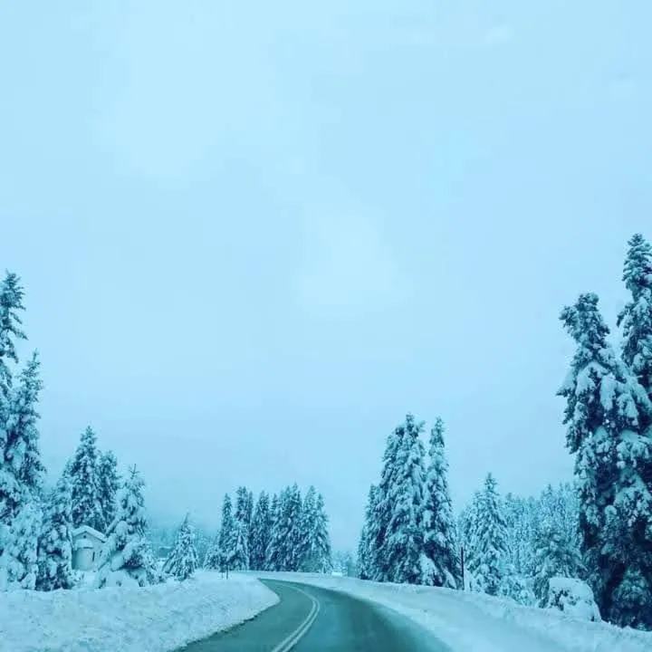 Natural landscape in Elati Electra's Cozy House