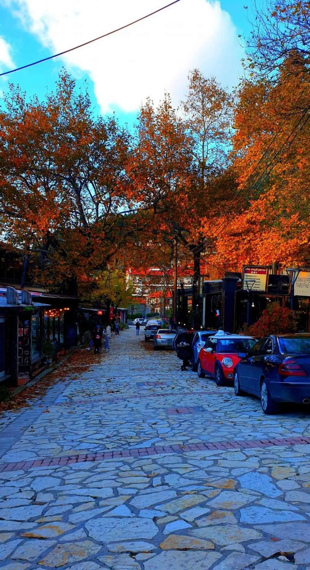 Neighbourhood in Elati Electra's Cozy House