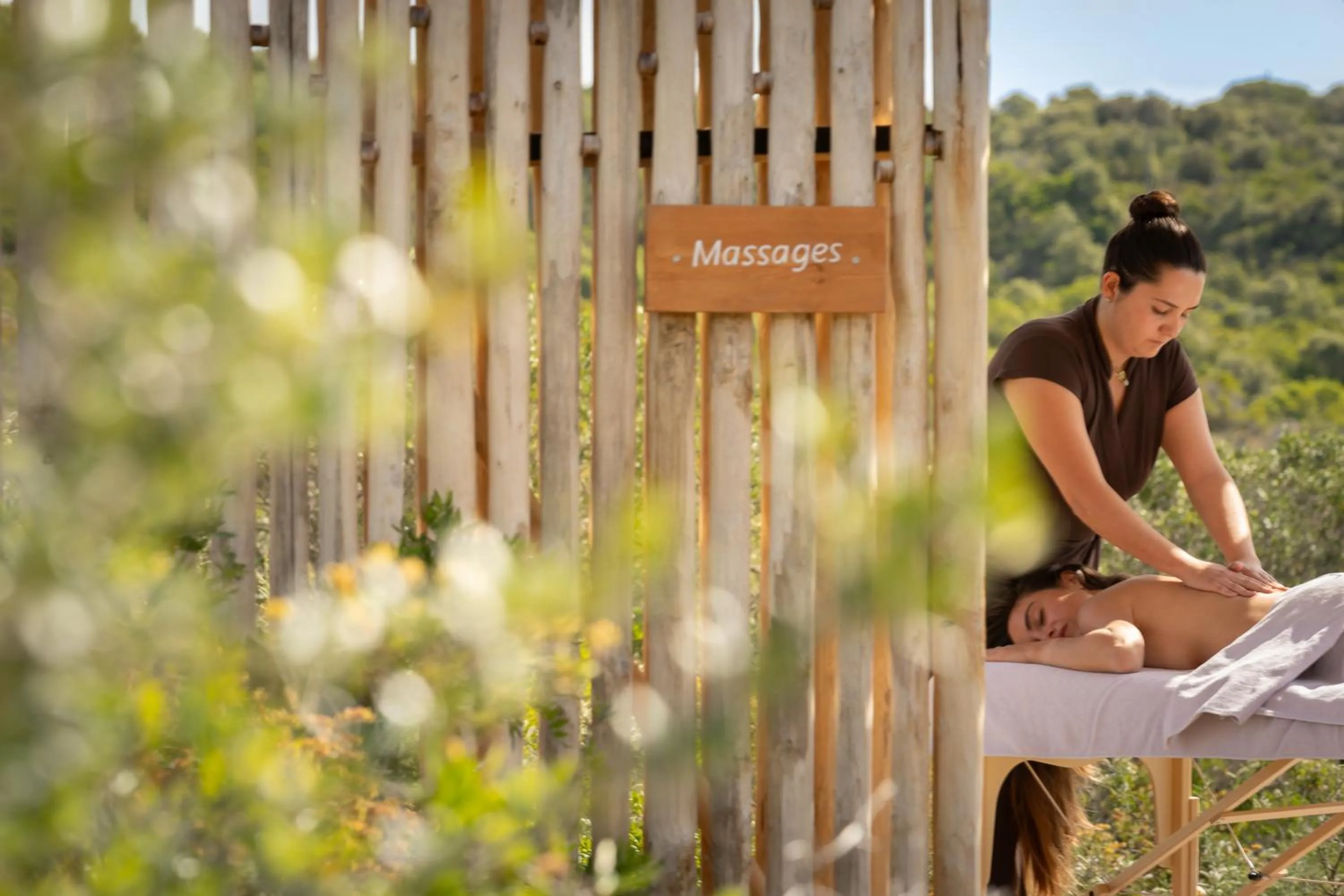Natural landscape in Hôtel Version Maquis Santa Manza