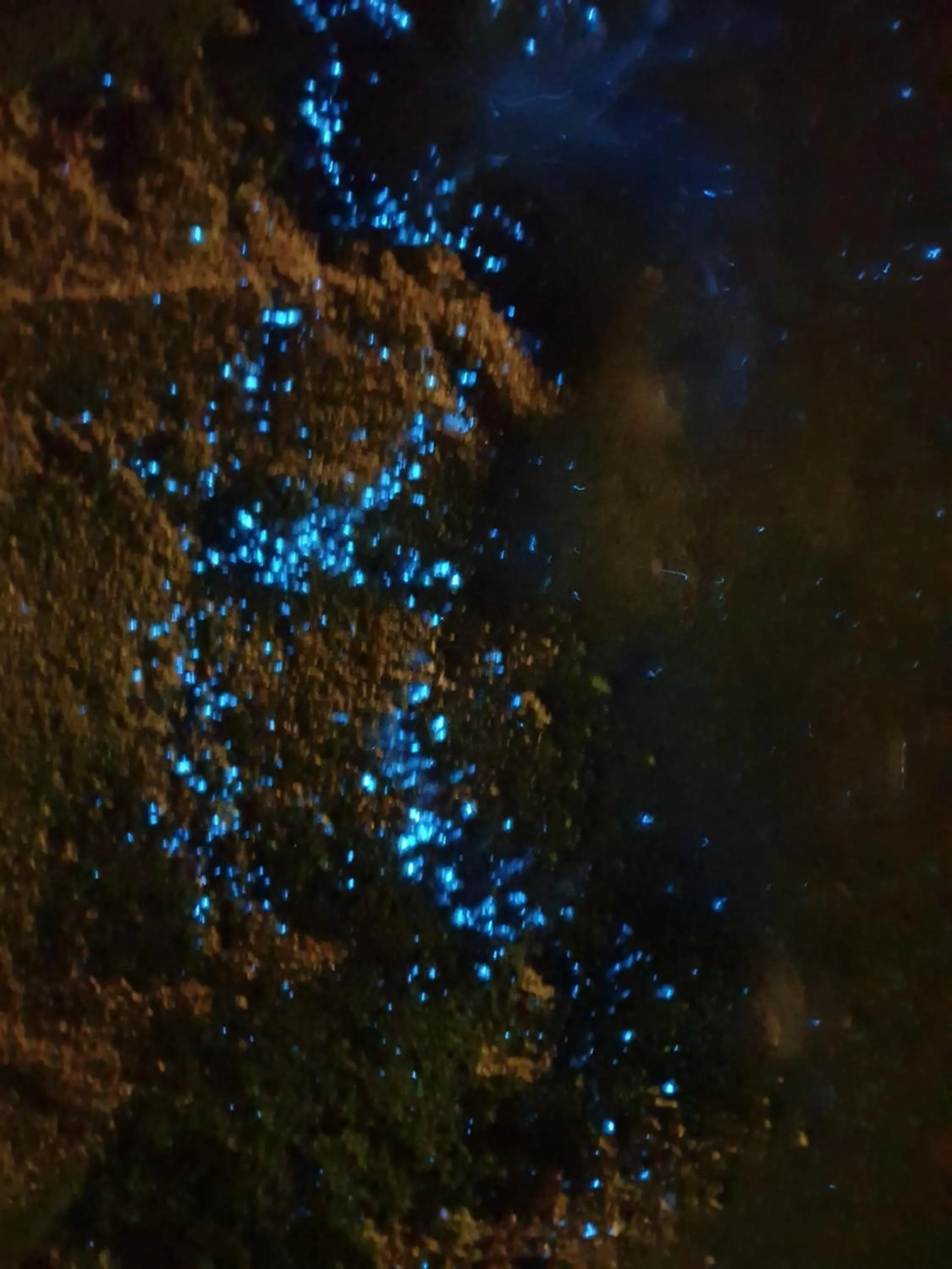 Night in Island Luxury Boutique Hotel - Fulhadhoo