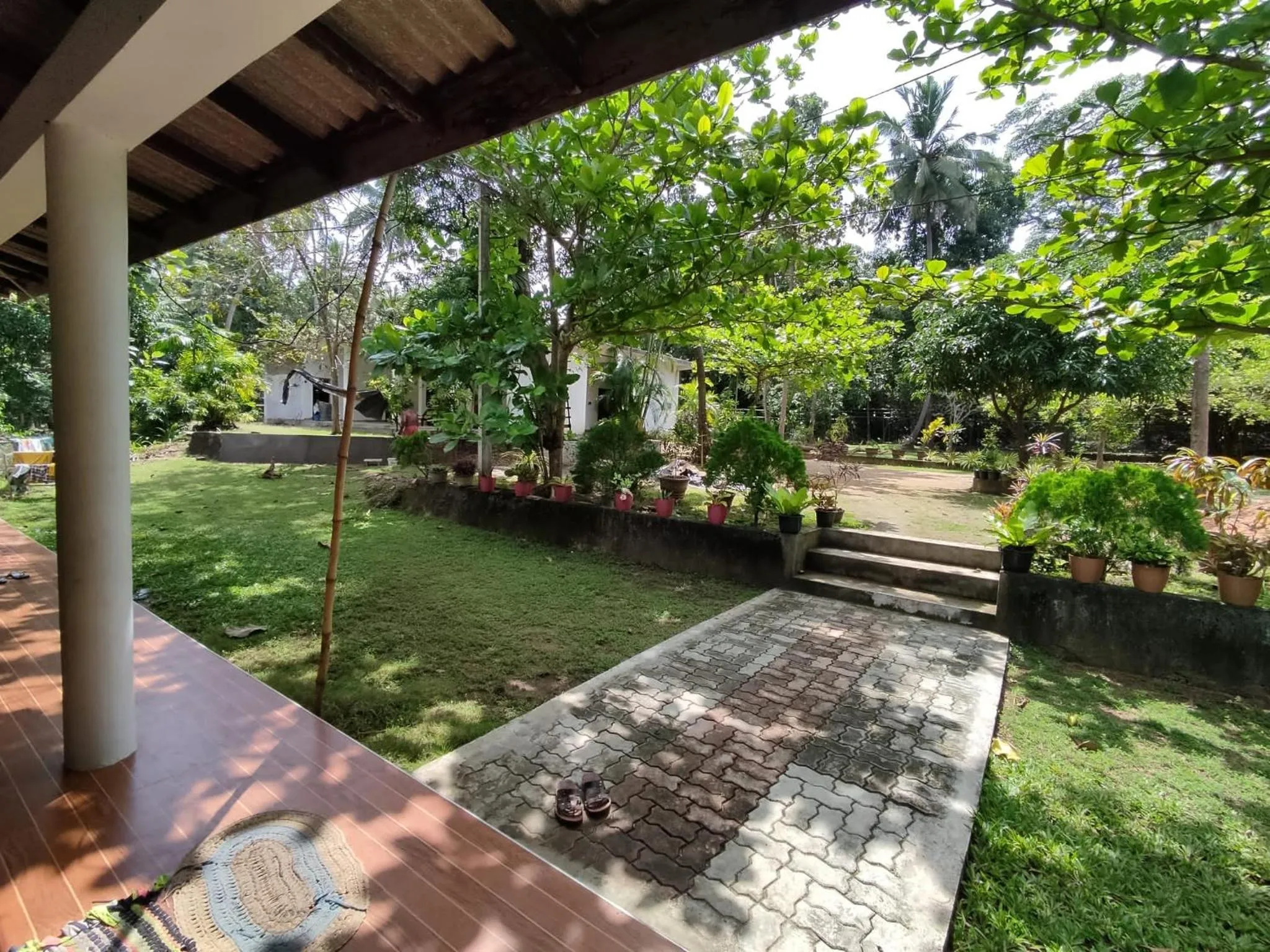 Garden in Deer Garden Guest