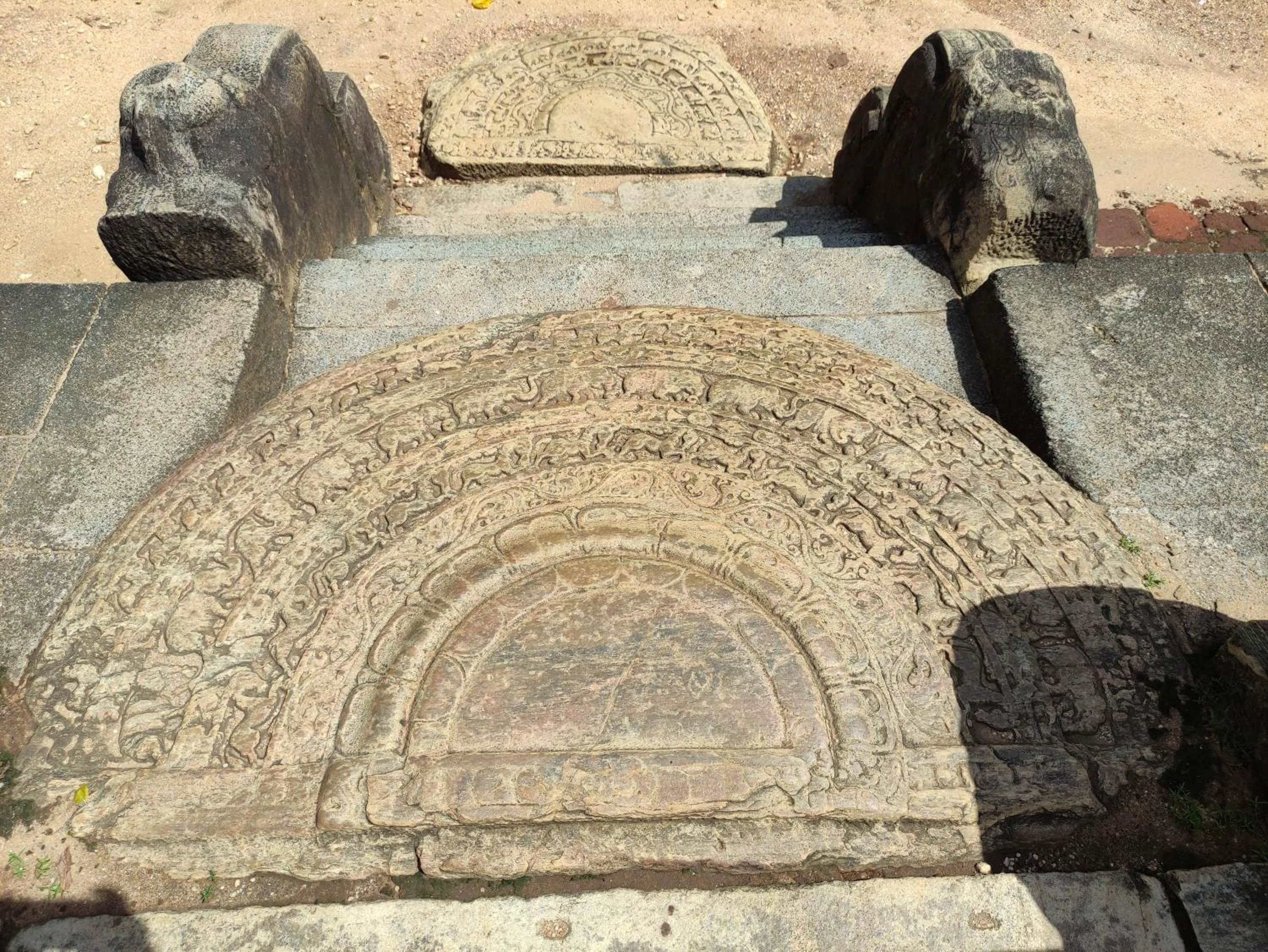 Day in Deer Garden Guest