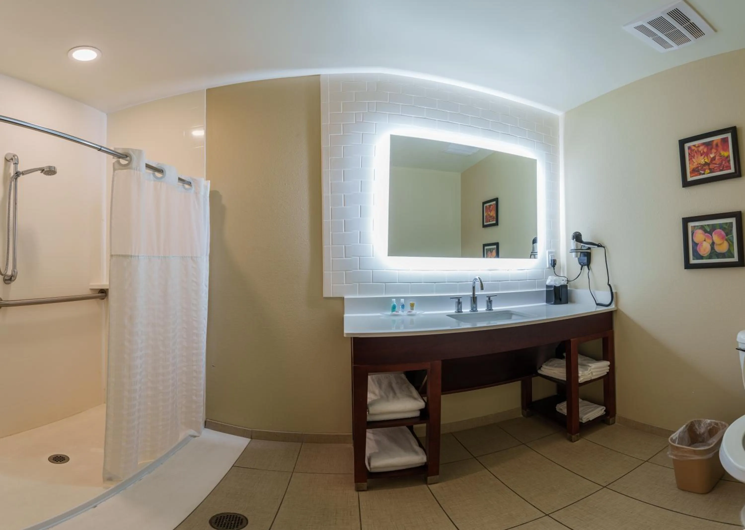 Shower in Comfort Suites Newnan