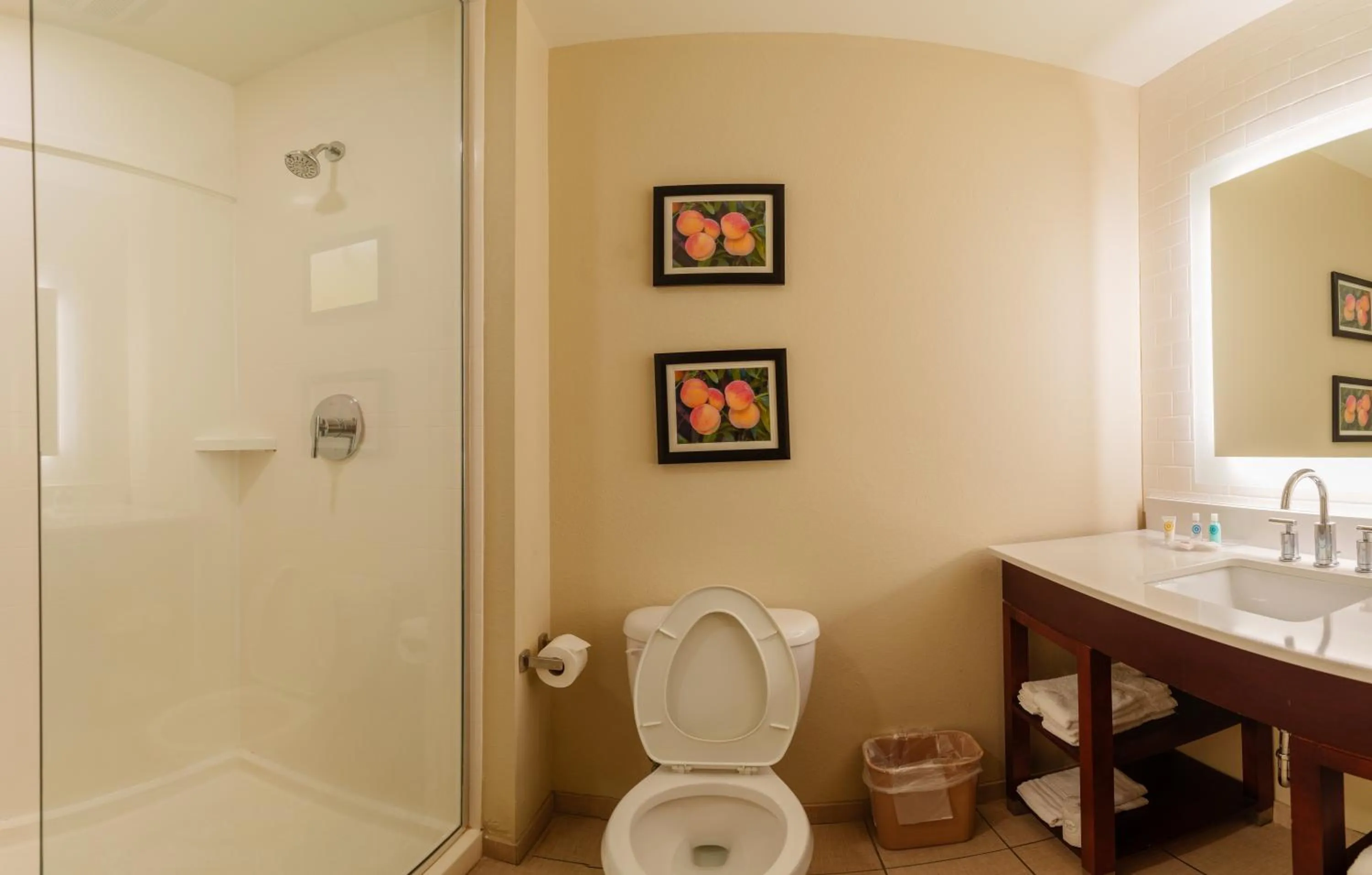 Shower in Comfort Suites Newnan