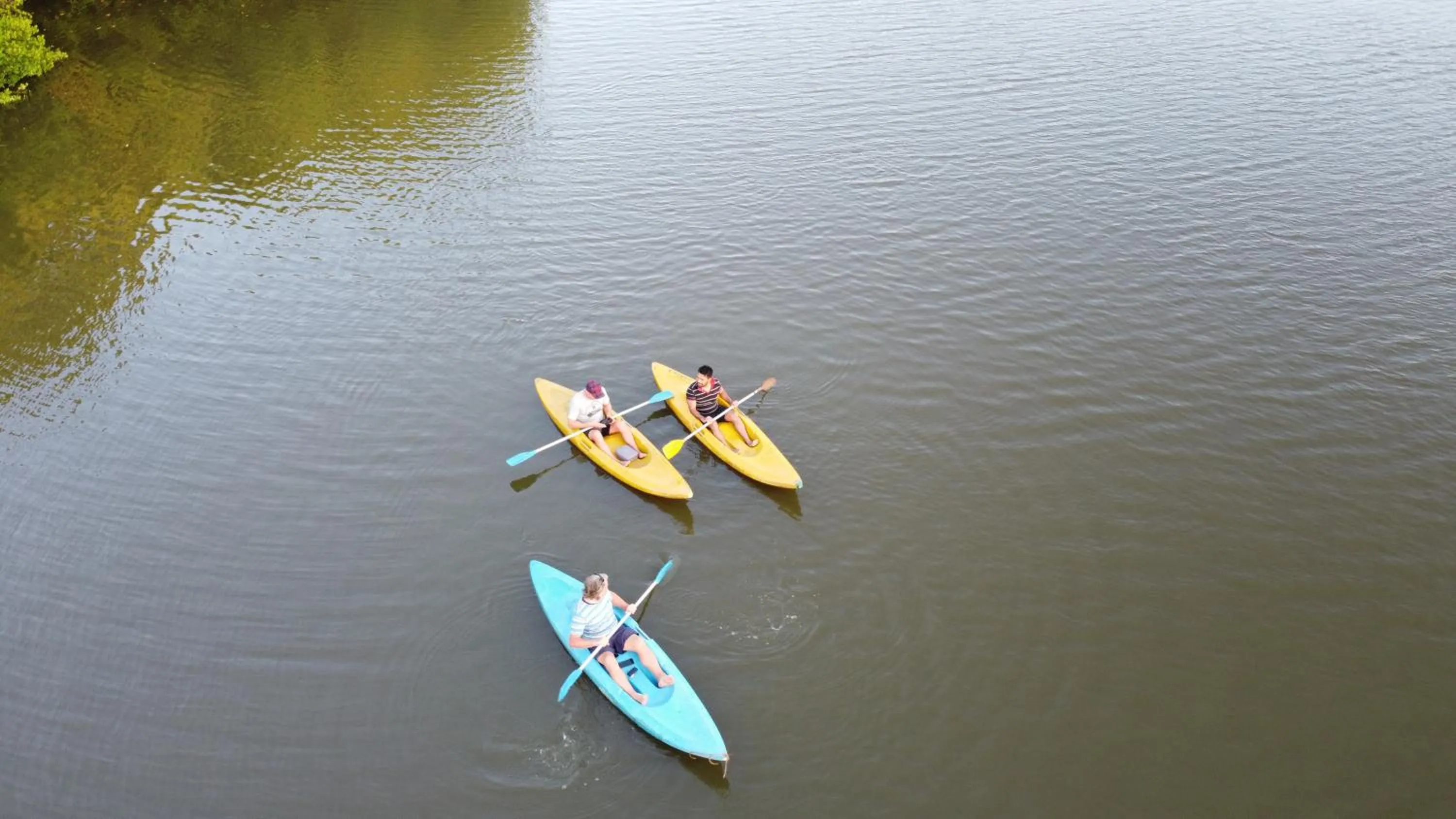 Windsurfing in Marakolliya Beach Resort