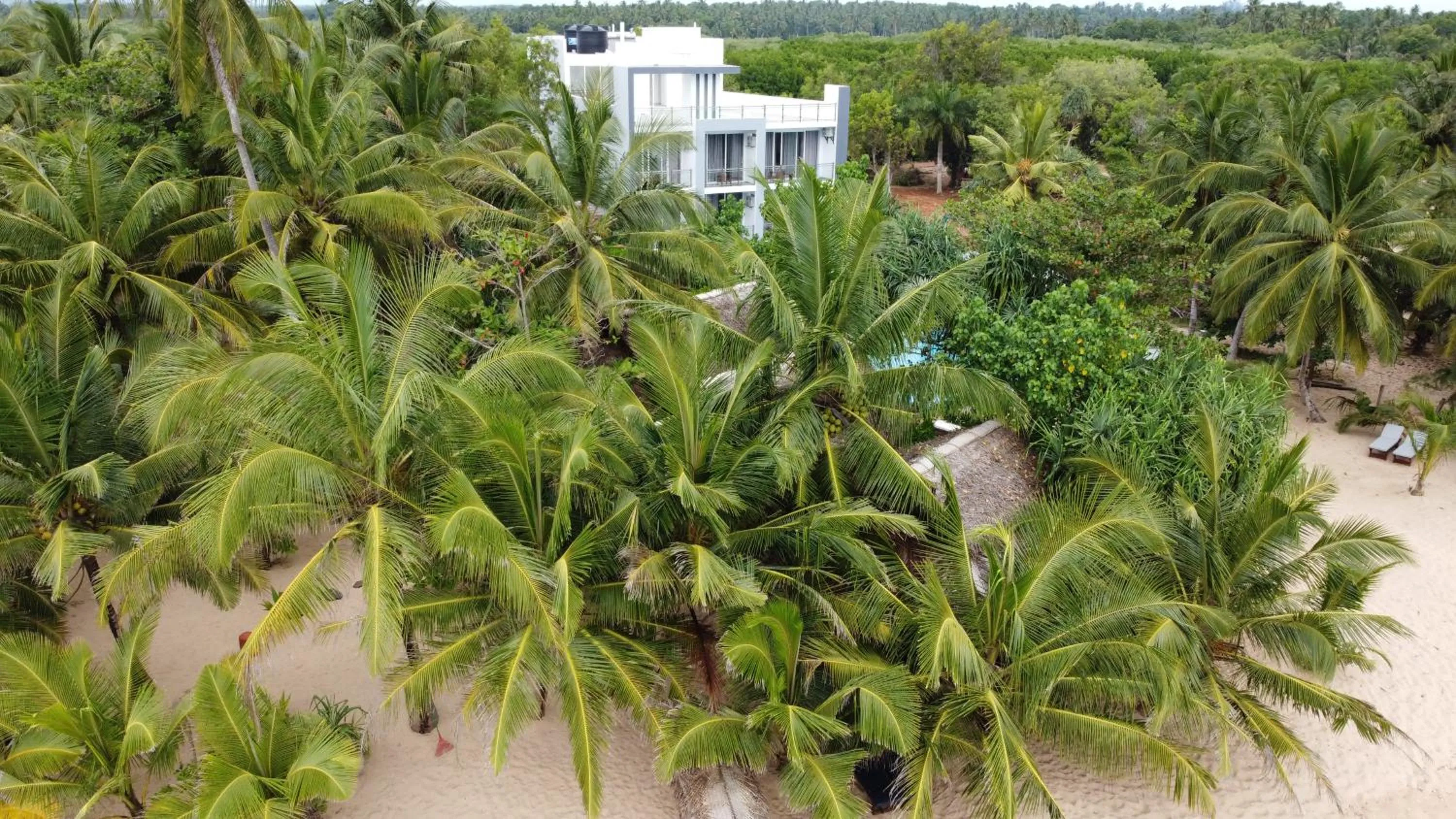 Bird's-eye View in Marakolliya Beach Resort