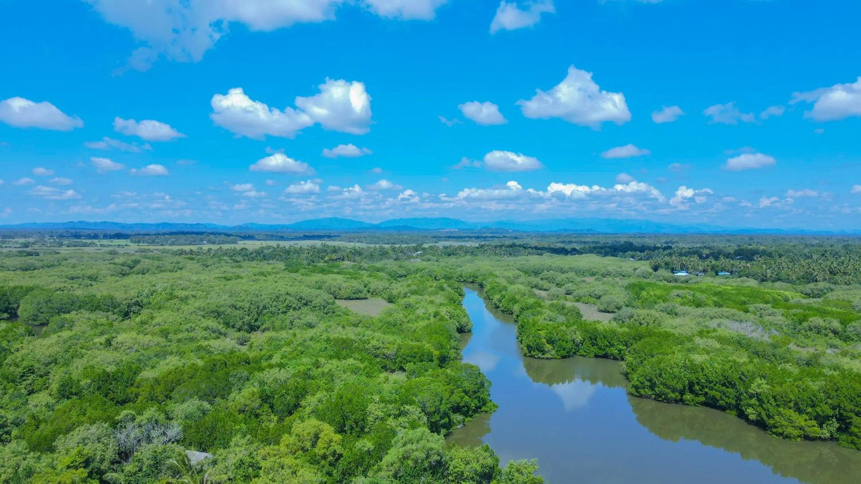 Bird's-eye View in Marakolliya Beach Resort