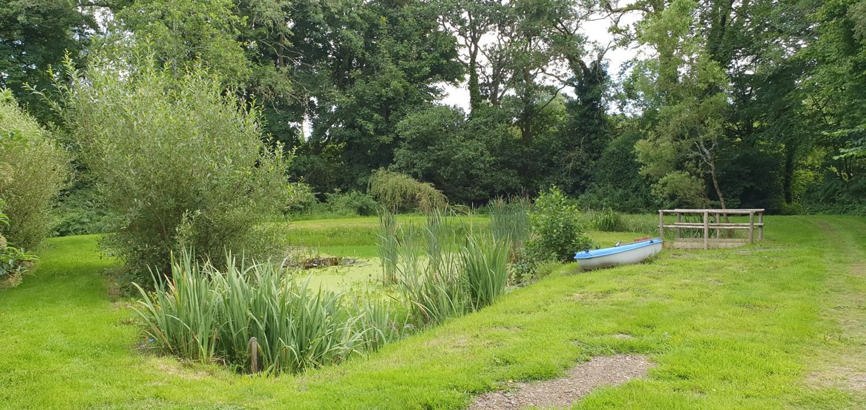 Natural landscape in Hideaway Escapes, Farmhouse B&B & Holiday Home, Ideal family stay or Romantic break, Friendly animals on our smallholding in beautiful Pembrokeshire setting close to Narberth