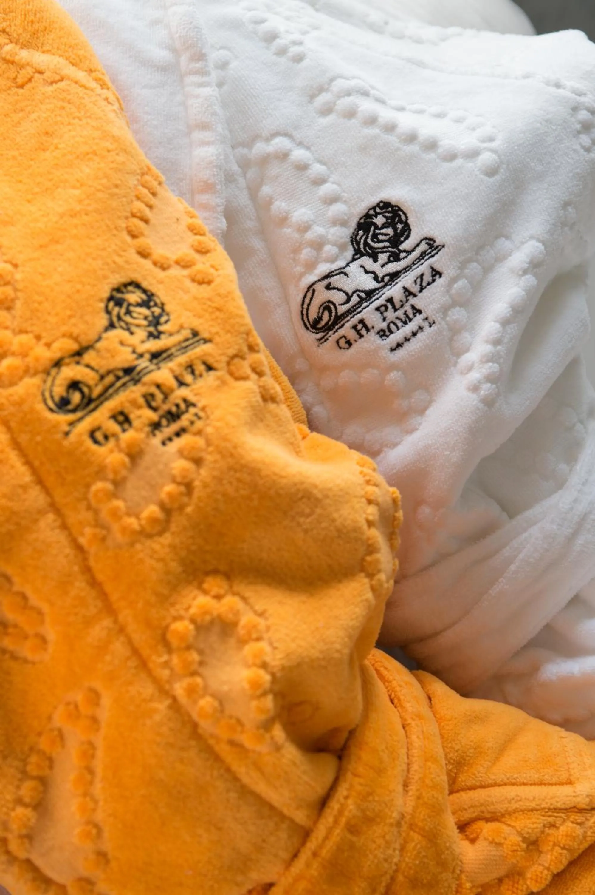 Bathroom, Bed in Grand Hotel Plaza