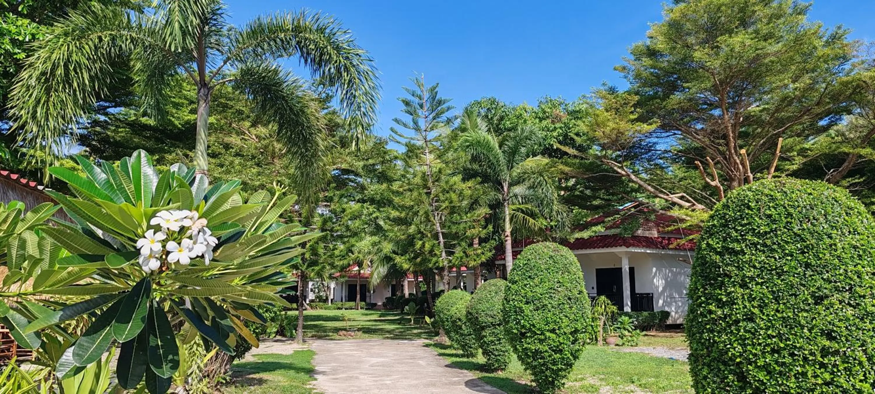 Garden in Matcha Lanta Resort