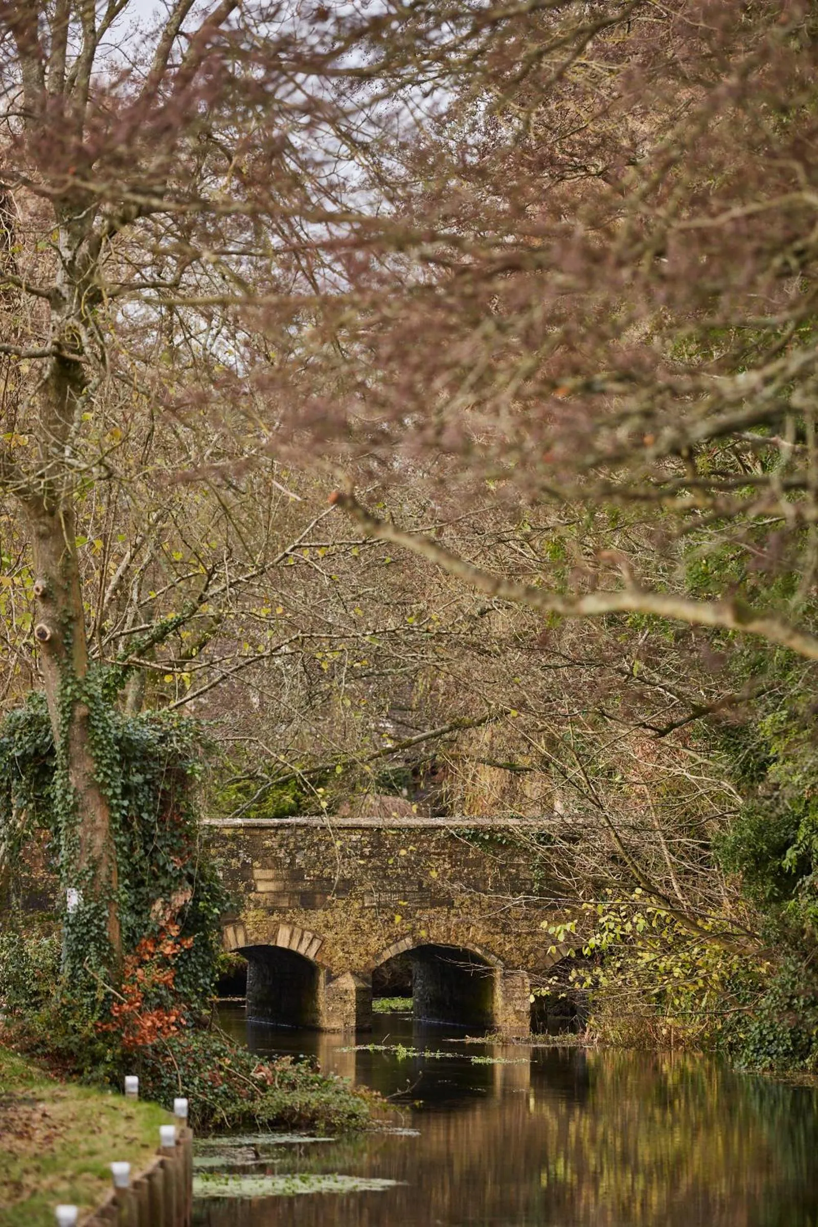 Natural landscape in Wild Thyme & Honey - Cirencester-Cotswolds