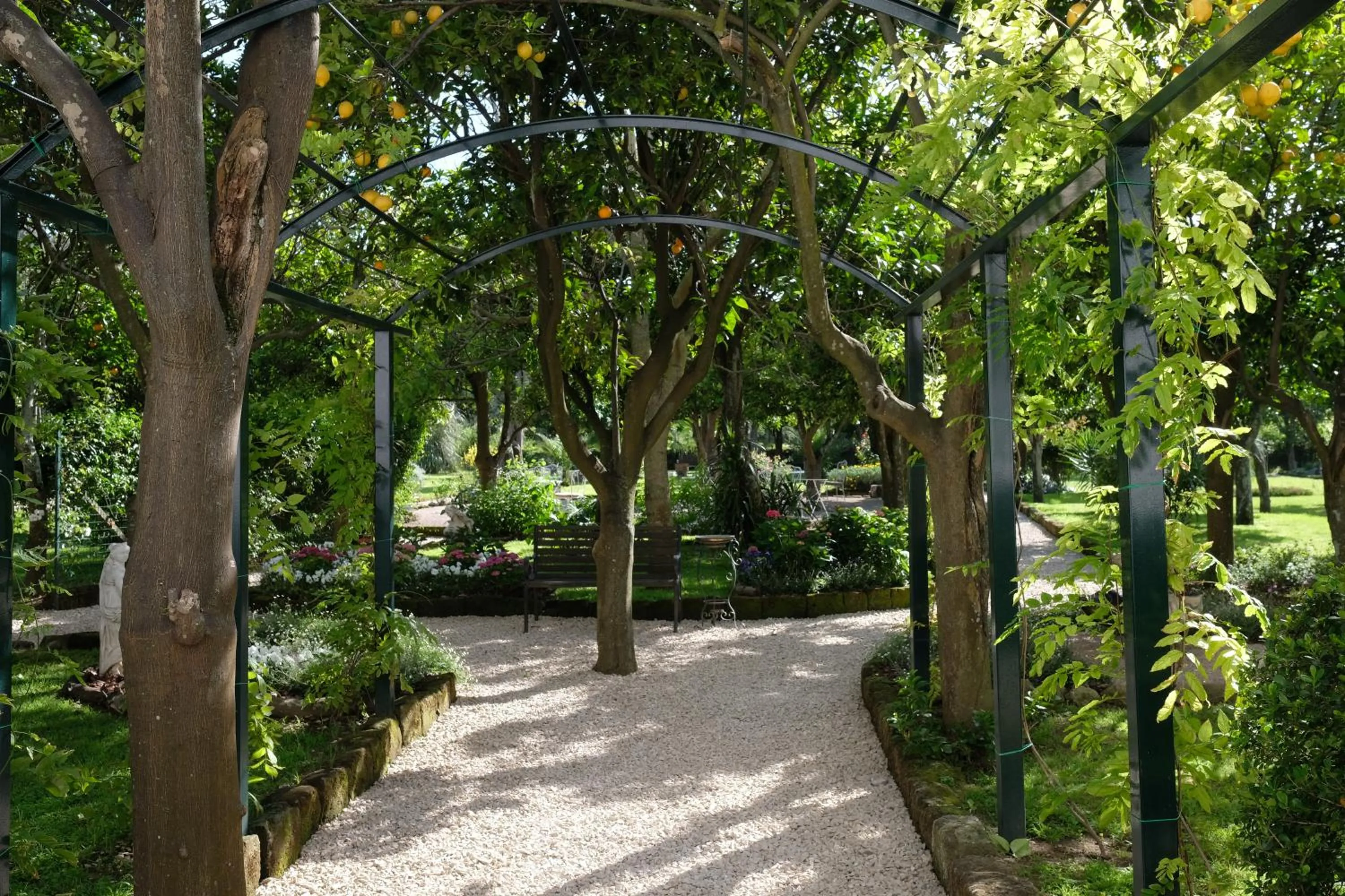 Garden in Majestic Palace Hotel