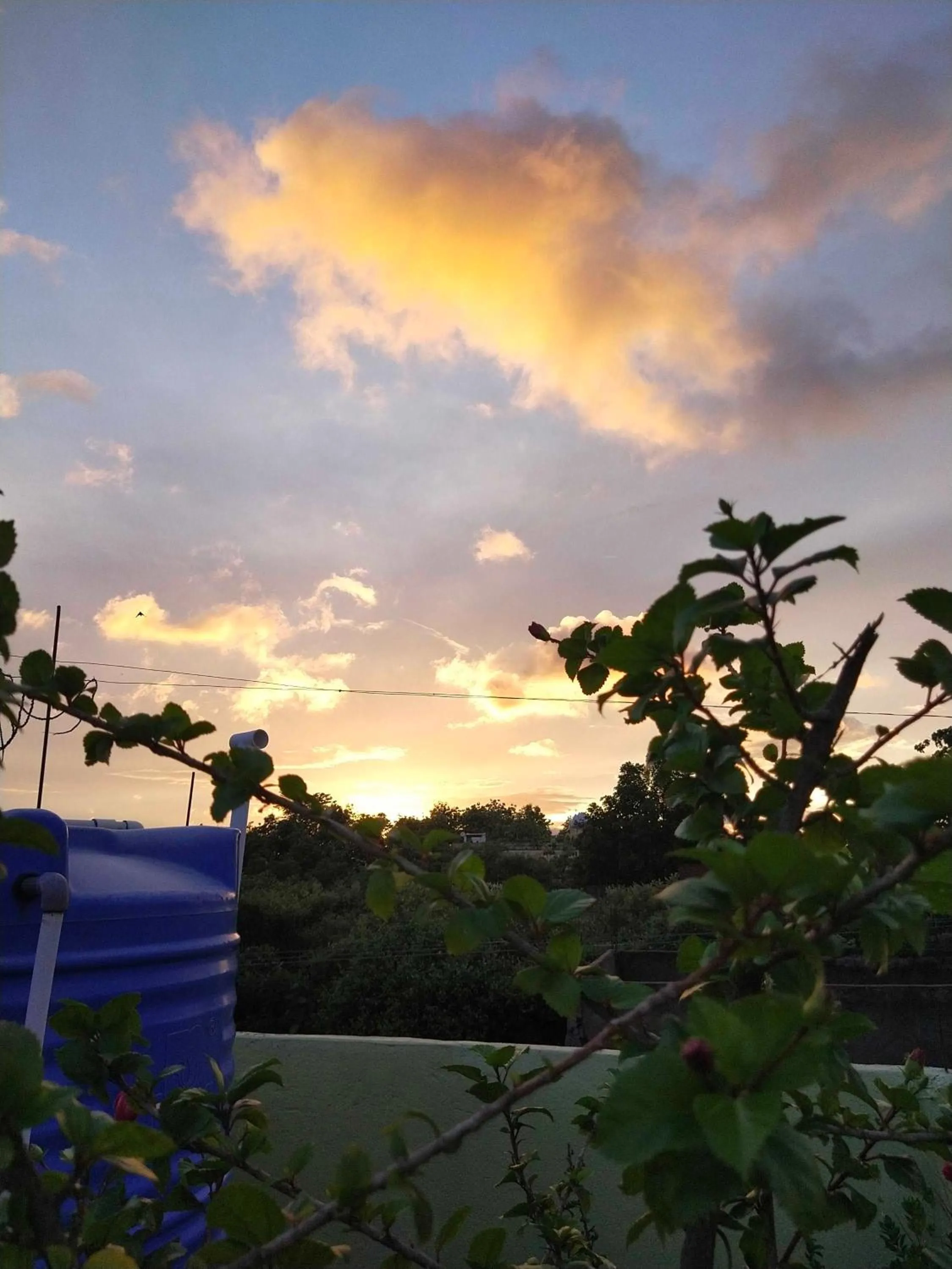 Other in SPOT ON Ganguly Hotel Lodging And Fooding