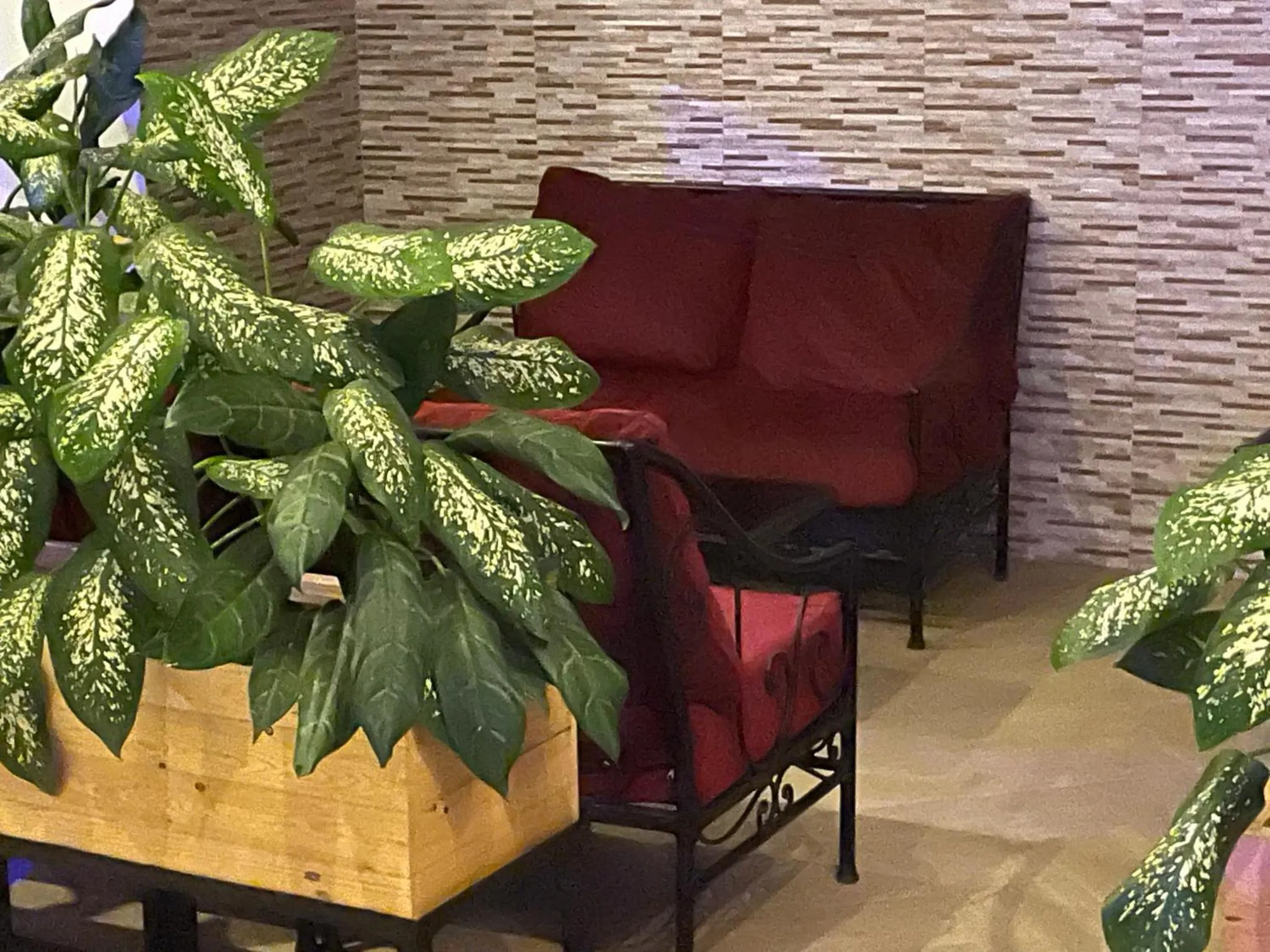 Patio in HOTEL LES ARCADES