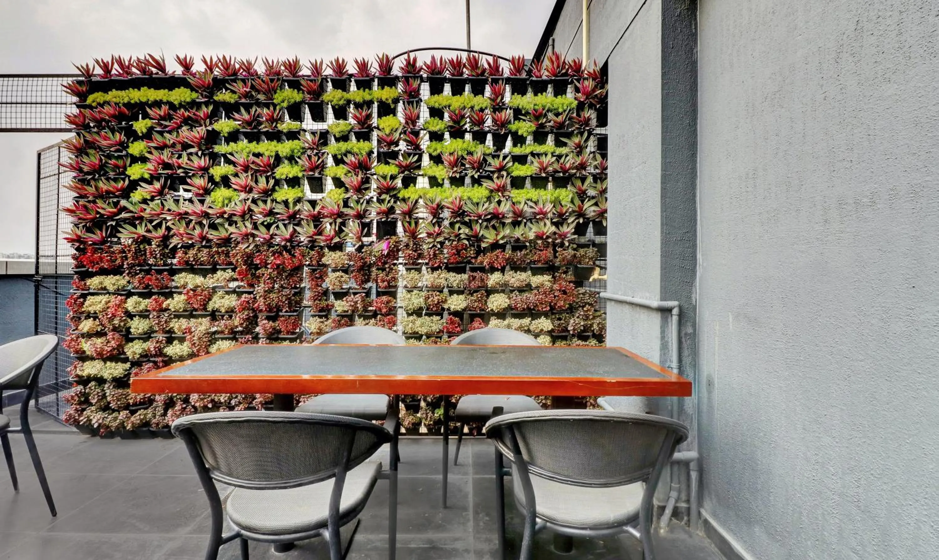 Restaurant/places to eat in Treebo Three Drops