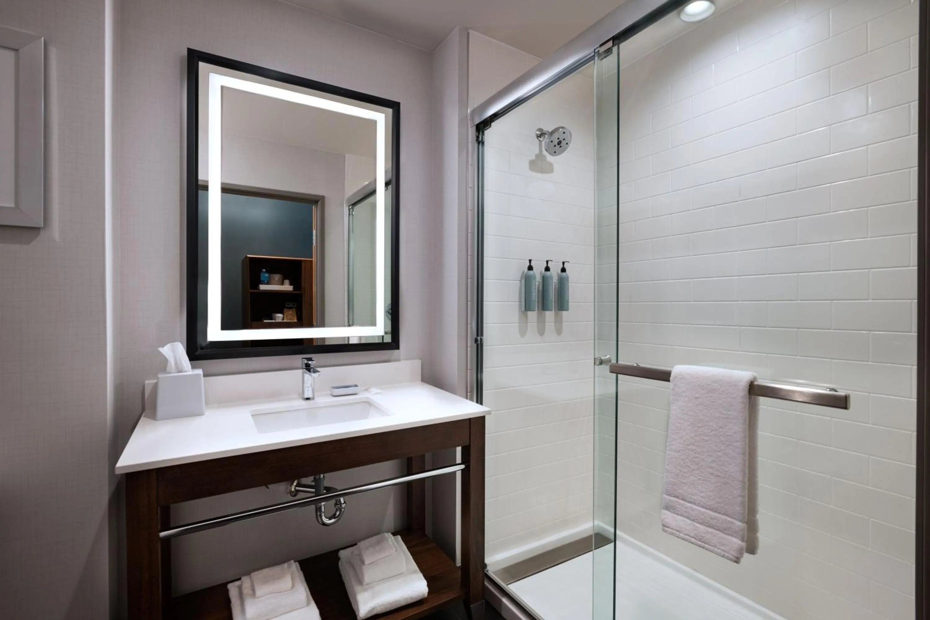 Bathroom in Four Points by Sheraton Fort Worth North