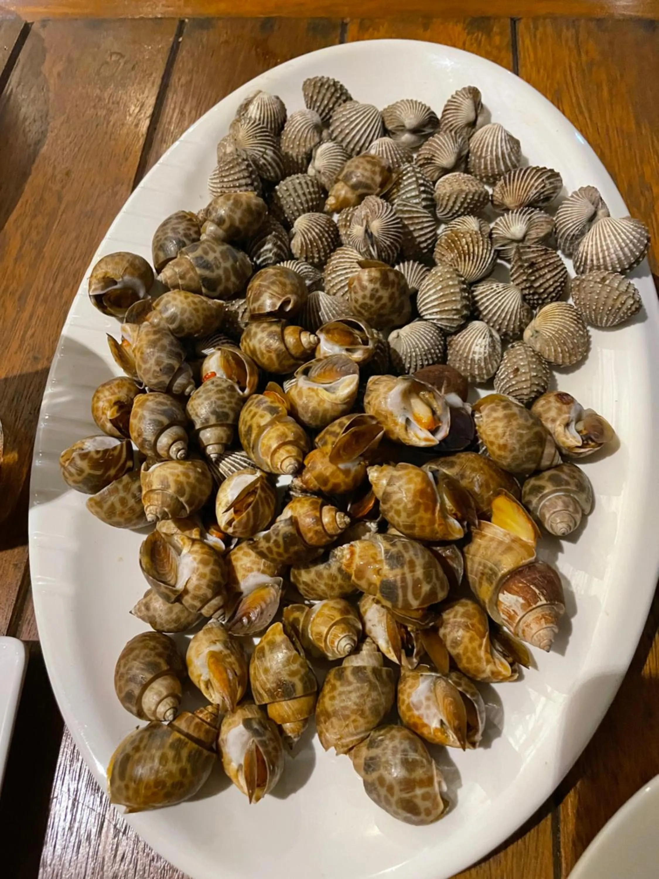 Marina Resort Koh Phayam Ranong