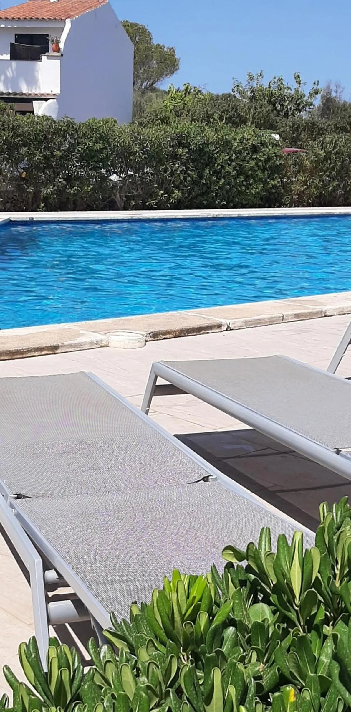 Swimming pool in Aparthotel FLORA PARK & AQUAROCK