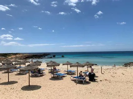 Beach in Aparthotel FLORA PARK & AQUAROCK