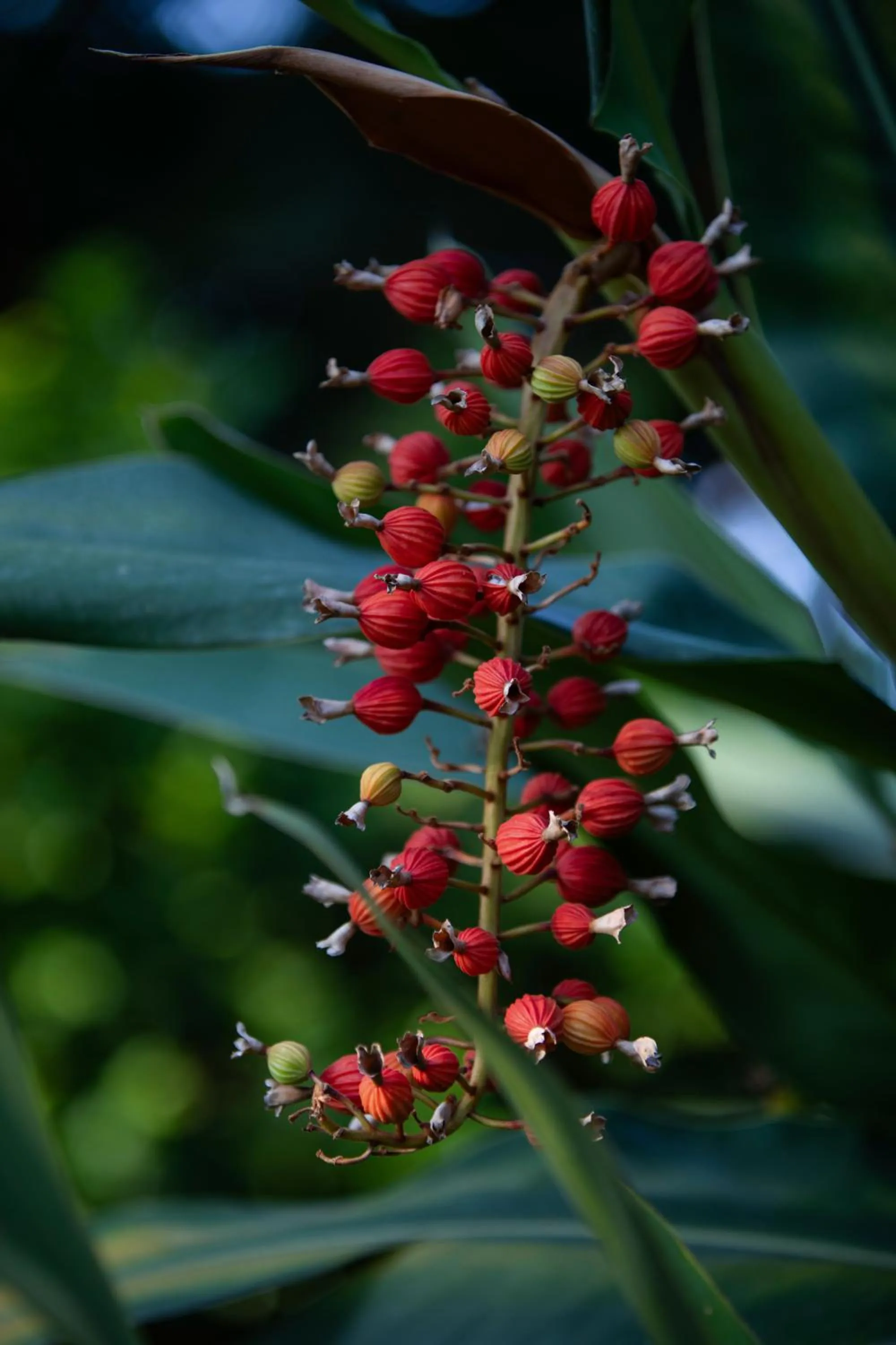 Spring in Parco dei Principi