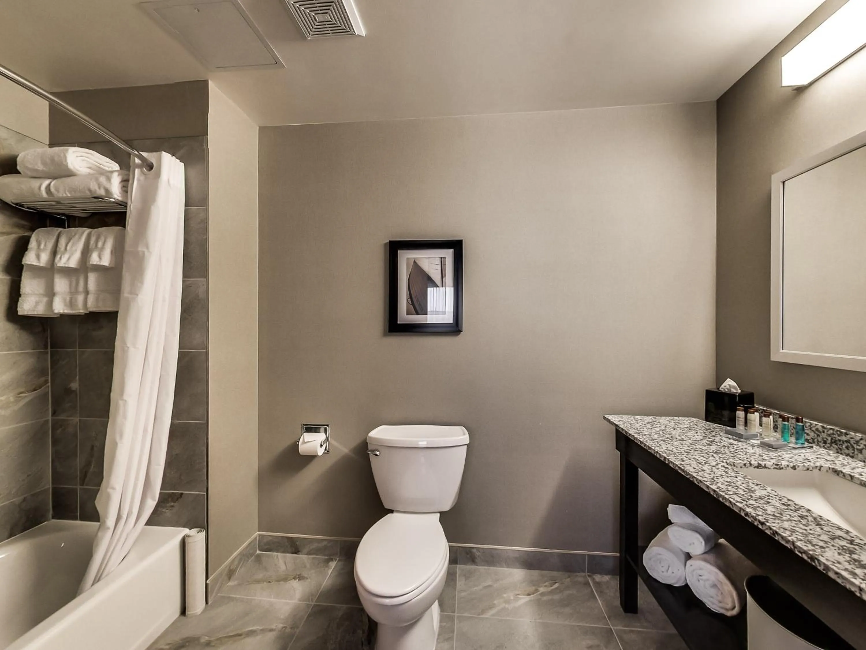 Toilet in Radisson Hotel Edmonton Airport