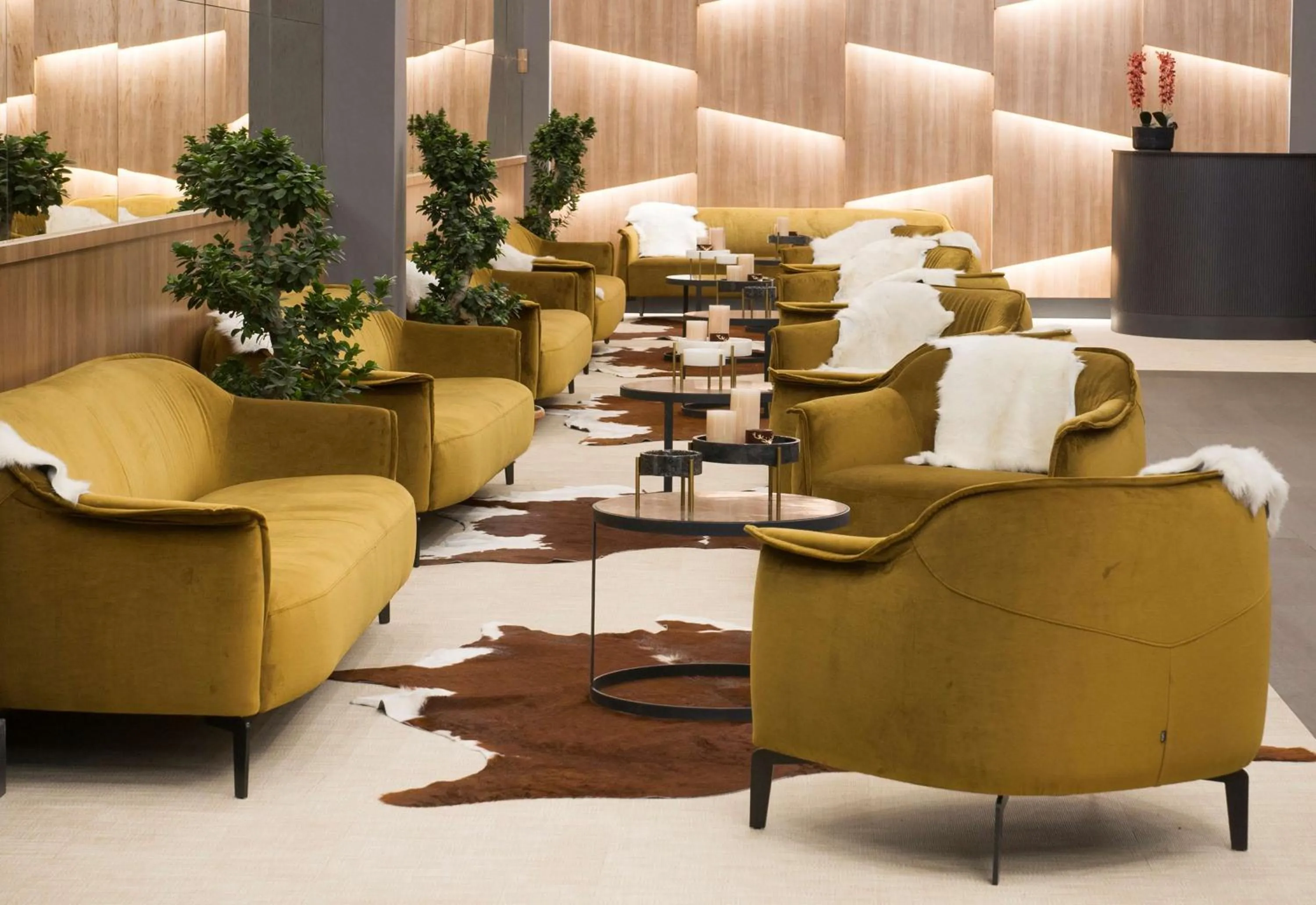 Lobby or reception in Radisson Blu Hotel, Mount Erciyes