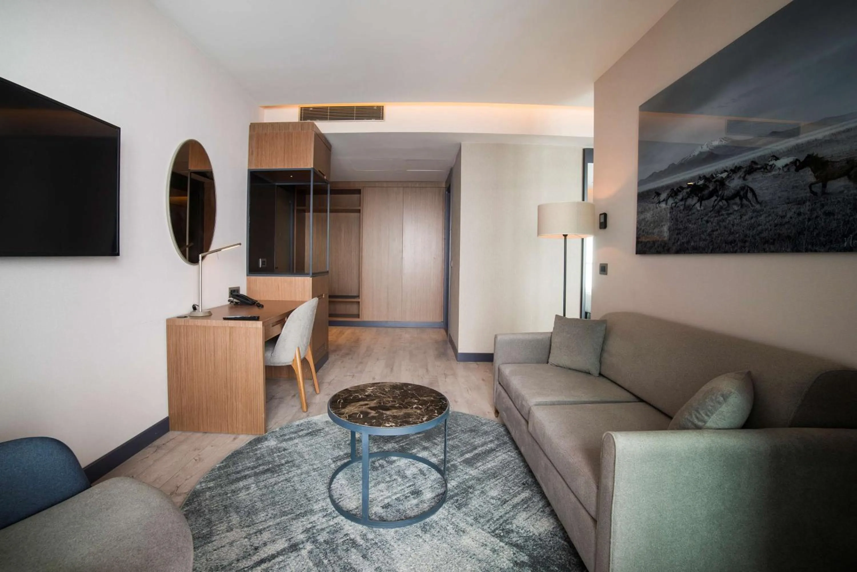 Photo of the whole room in Radisson Blu Hotel, Mount Erciyes