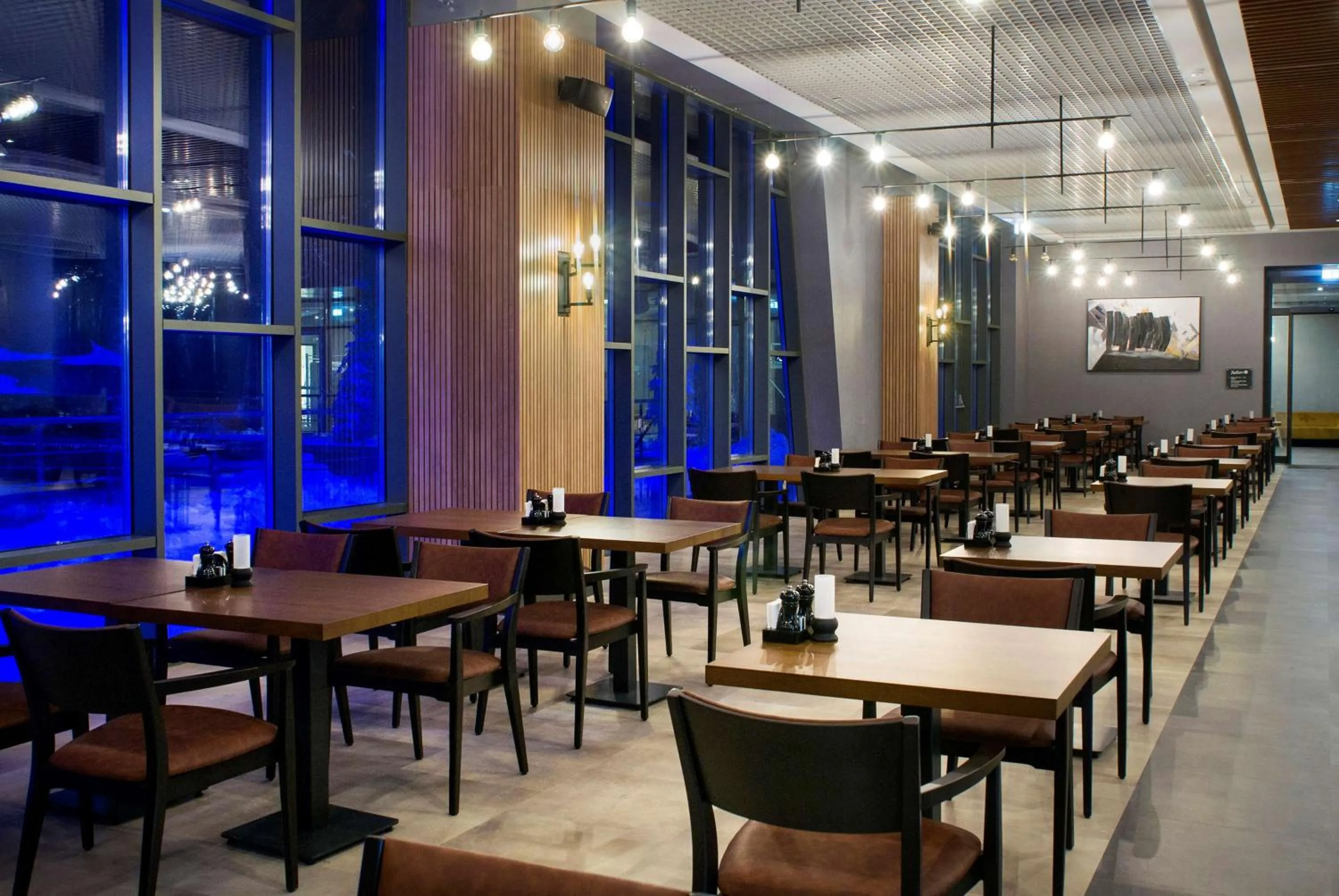 Restaurant/places to eat in Radisson Blu Hotel, Mount Erciyes