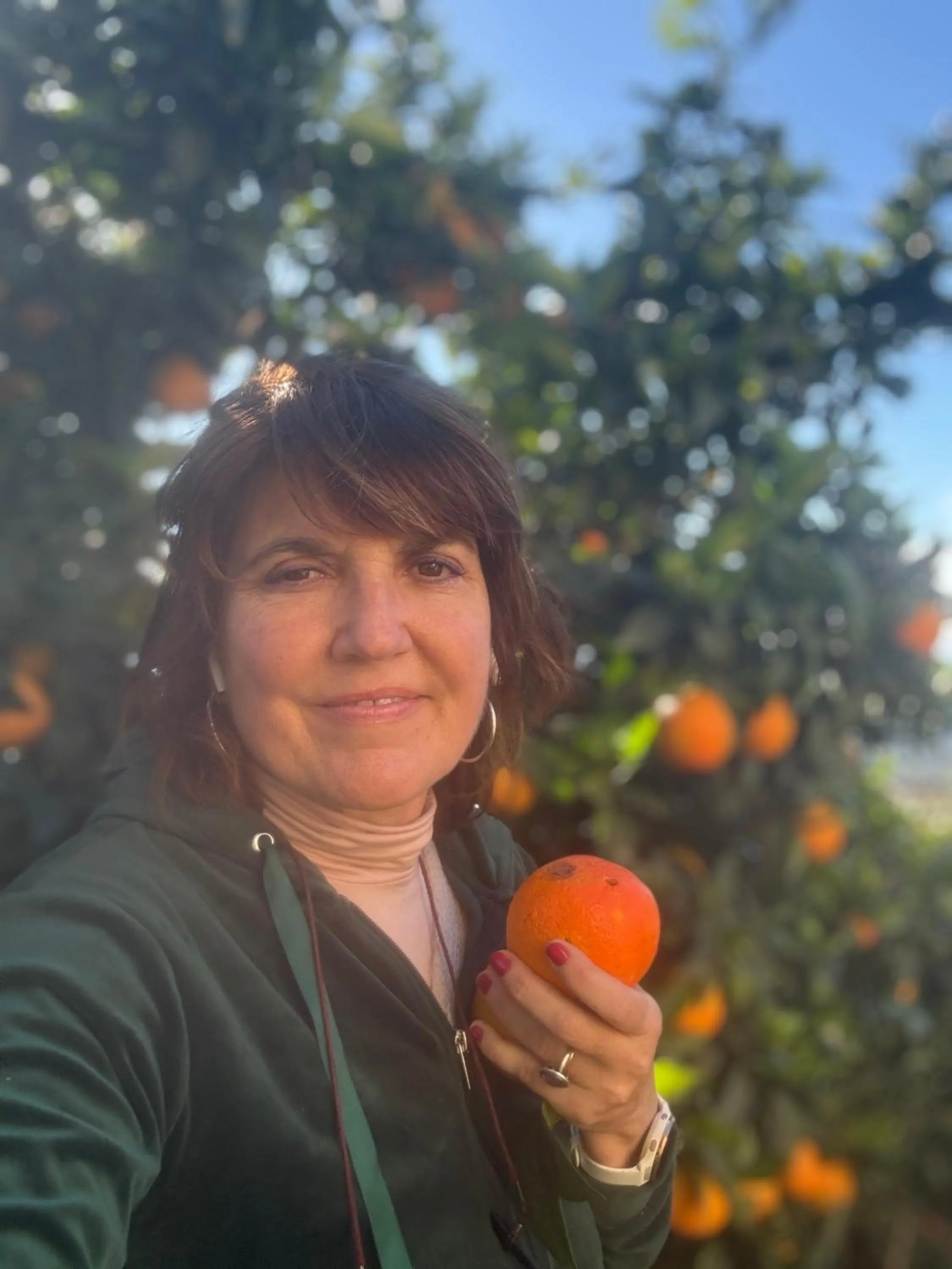 Garden view in Villa Daphné