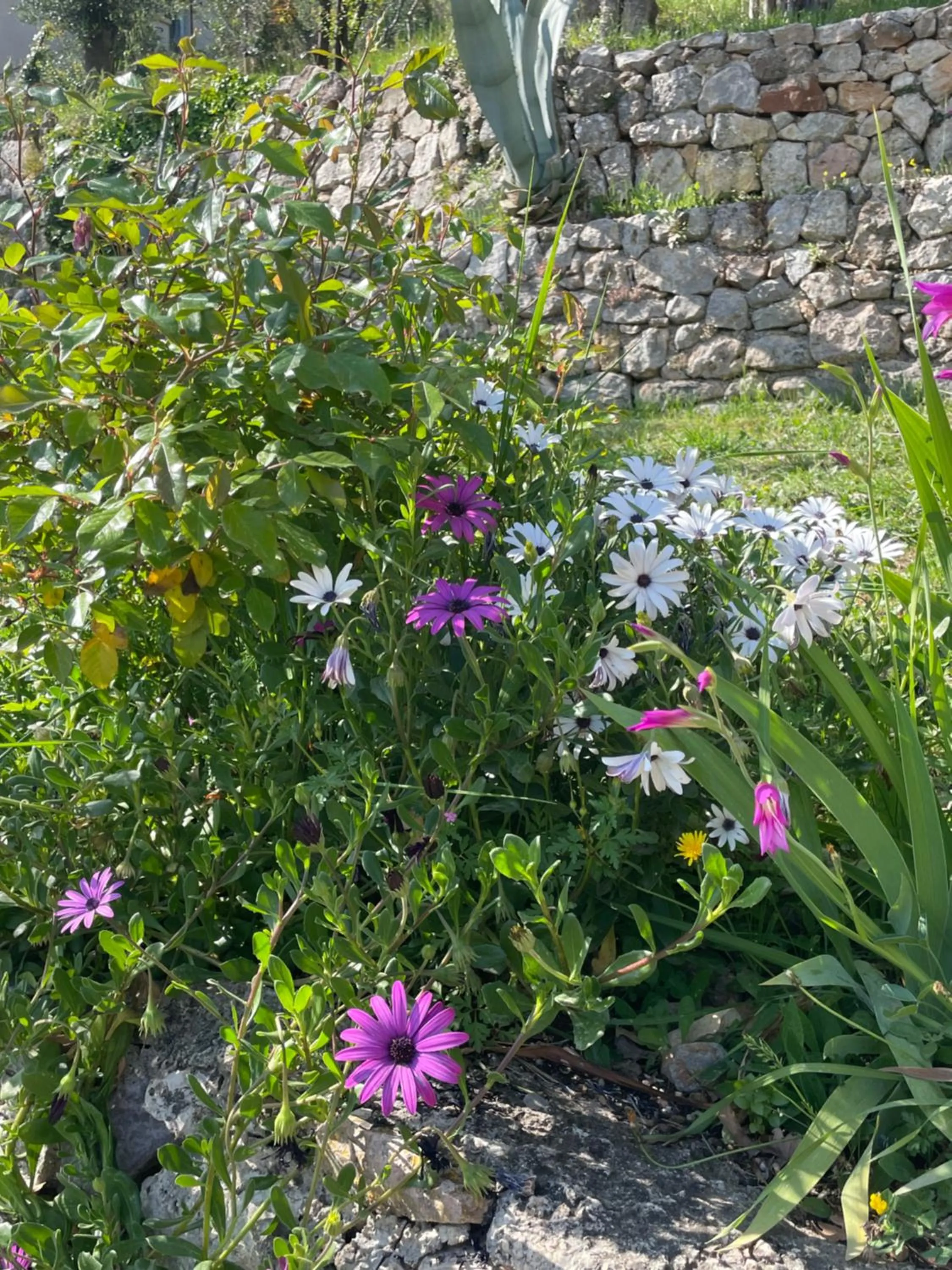 Spring in Villa Daphné