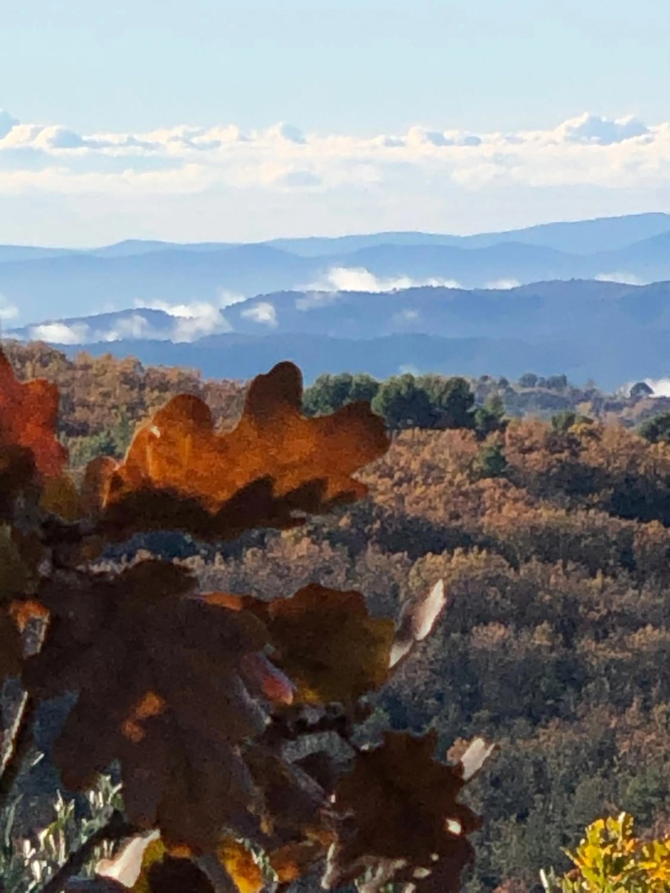 Autumn in Villa Daphné