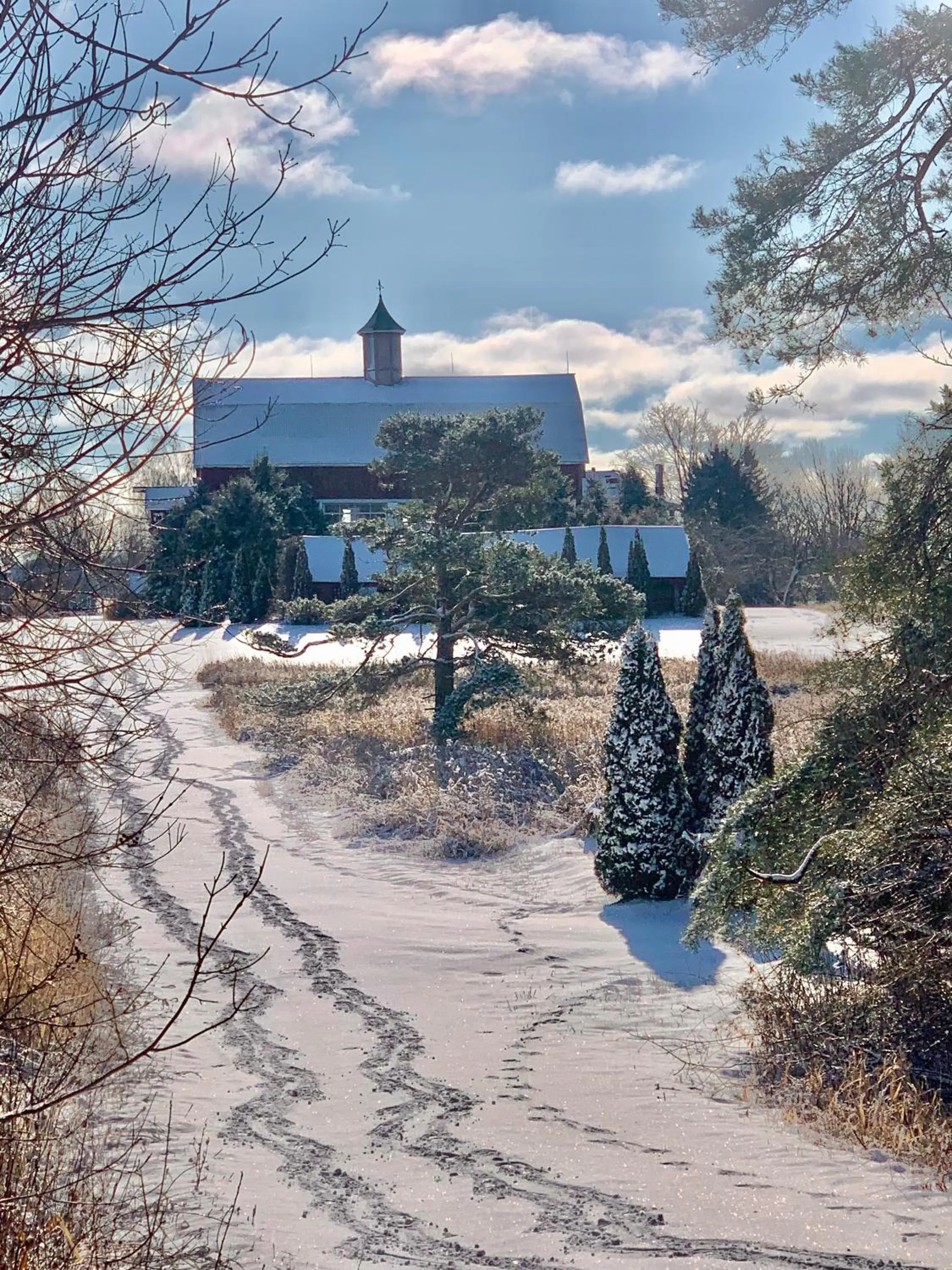 Property building in The Eddie Hotel and Farm