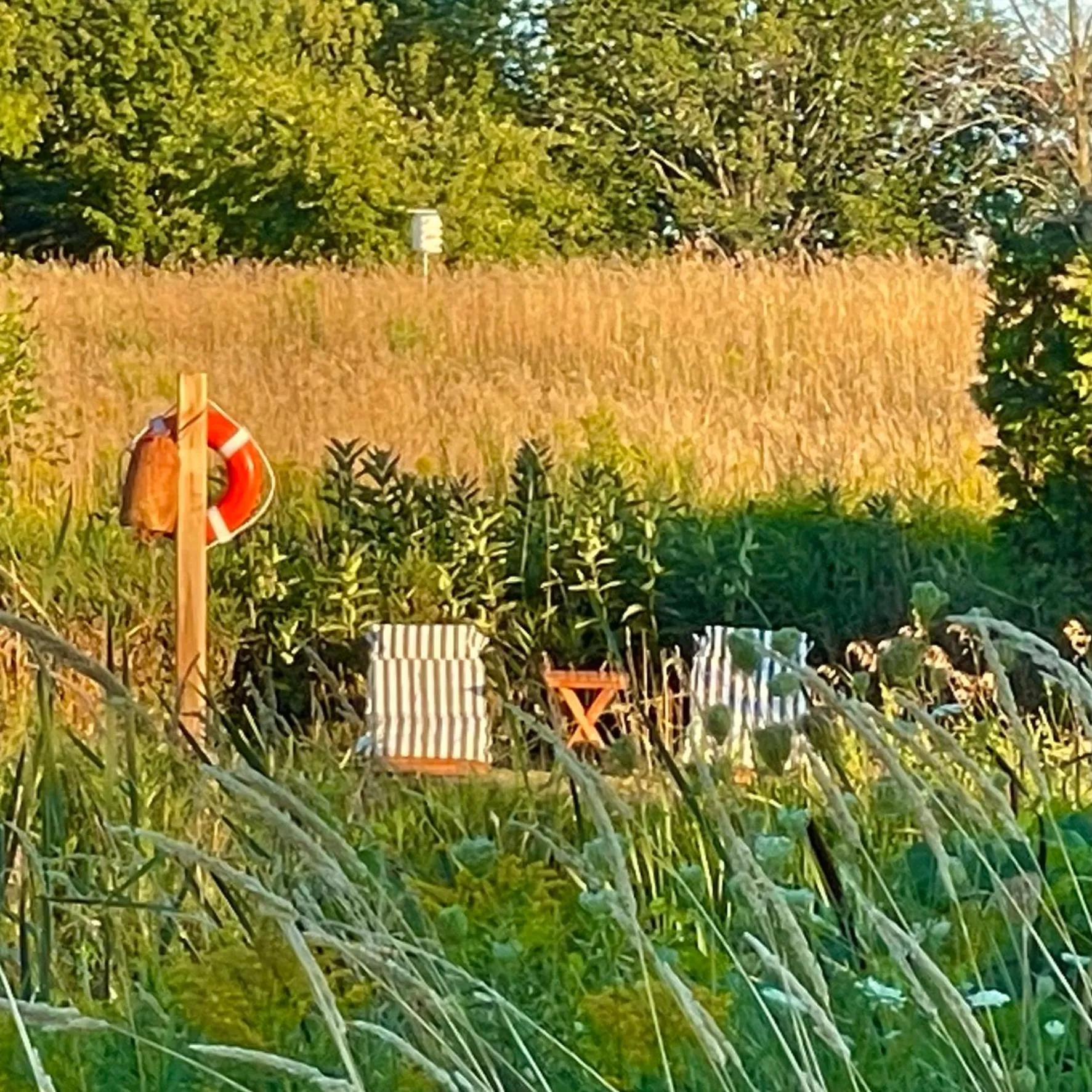 Natural landscape in The Eddie Hotel and Farm