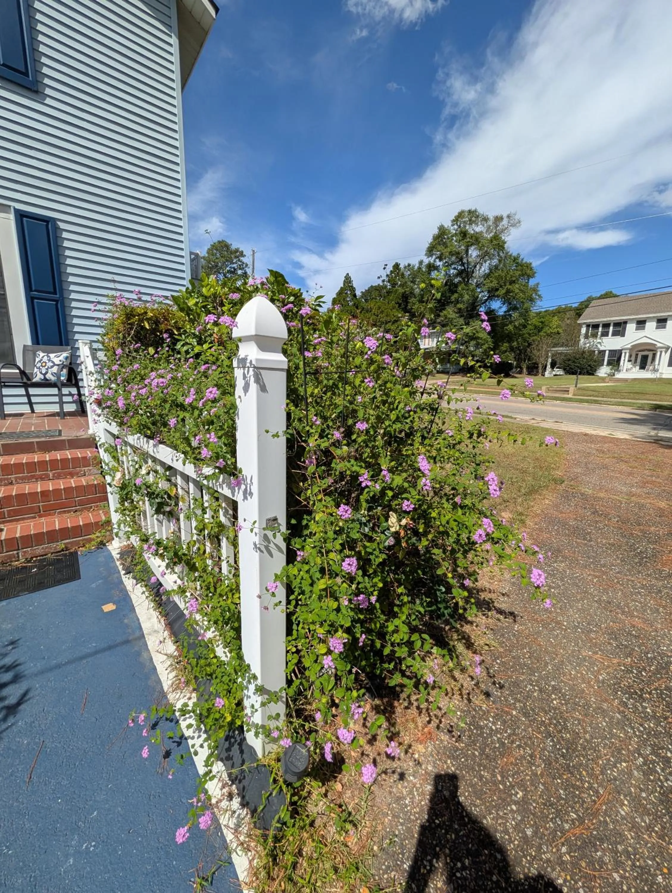 Property building in Cozy, Cute, Private Ozark Suite 5 Mins to Hospital