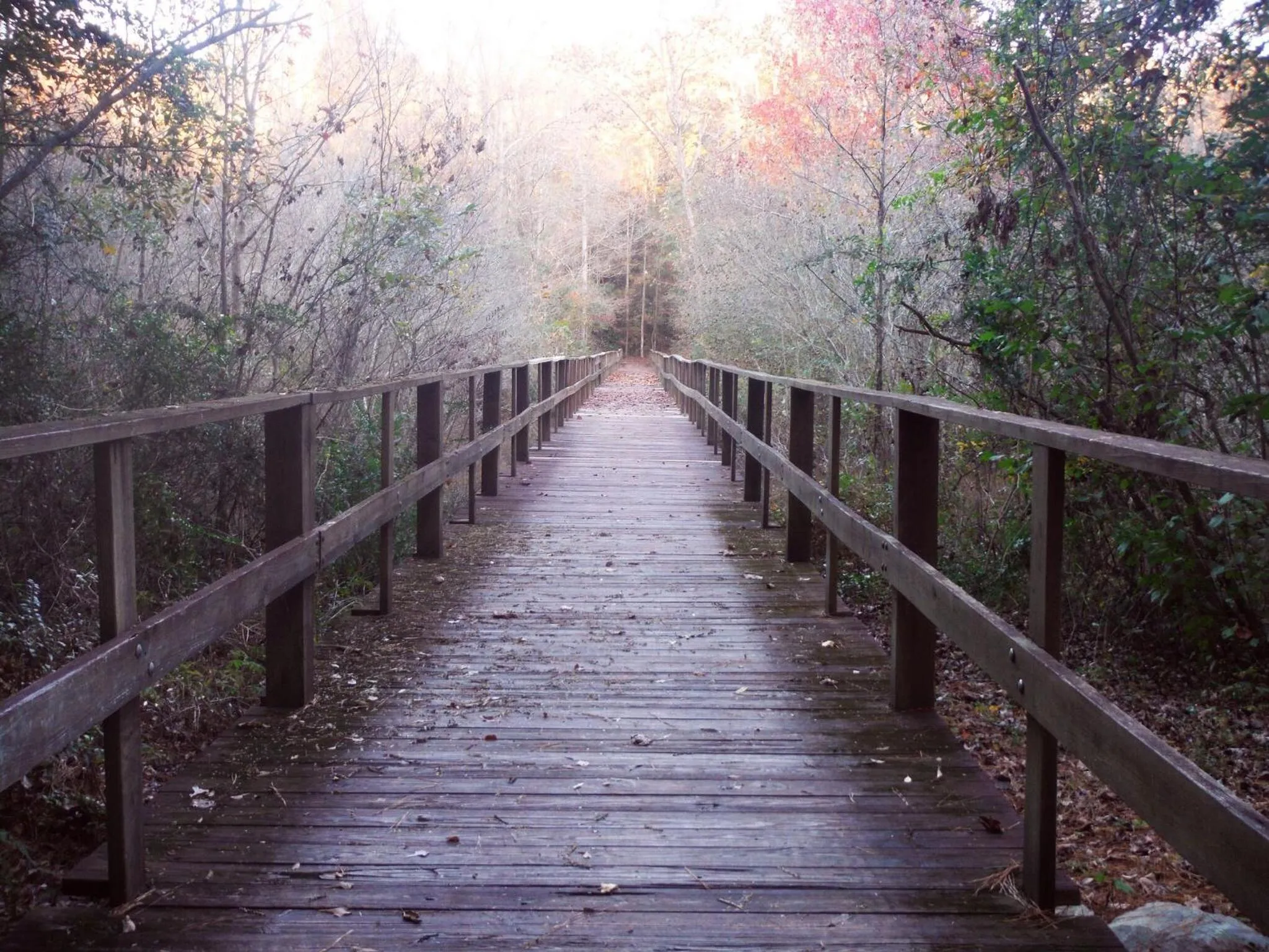 Off site in Cozy, Cute, Private Ozark Suite 5 Mins to Hospital