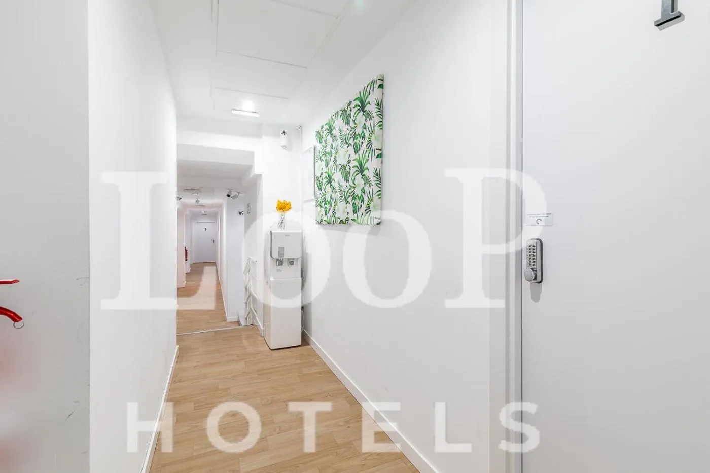 View (from property/room) in LooP America