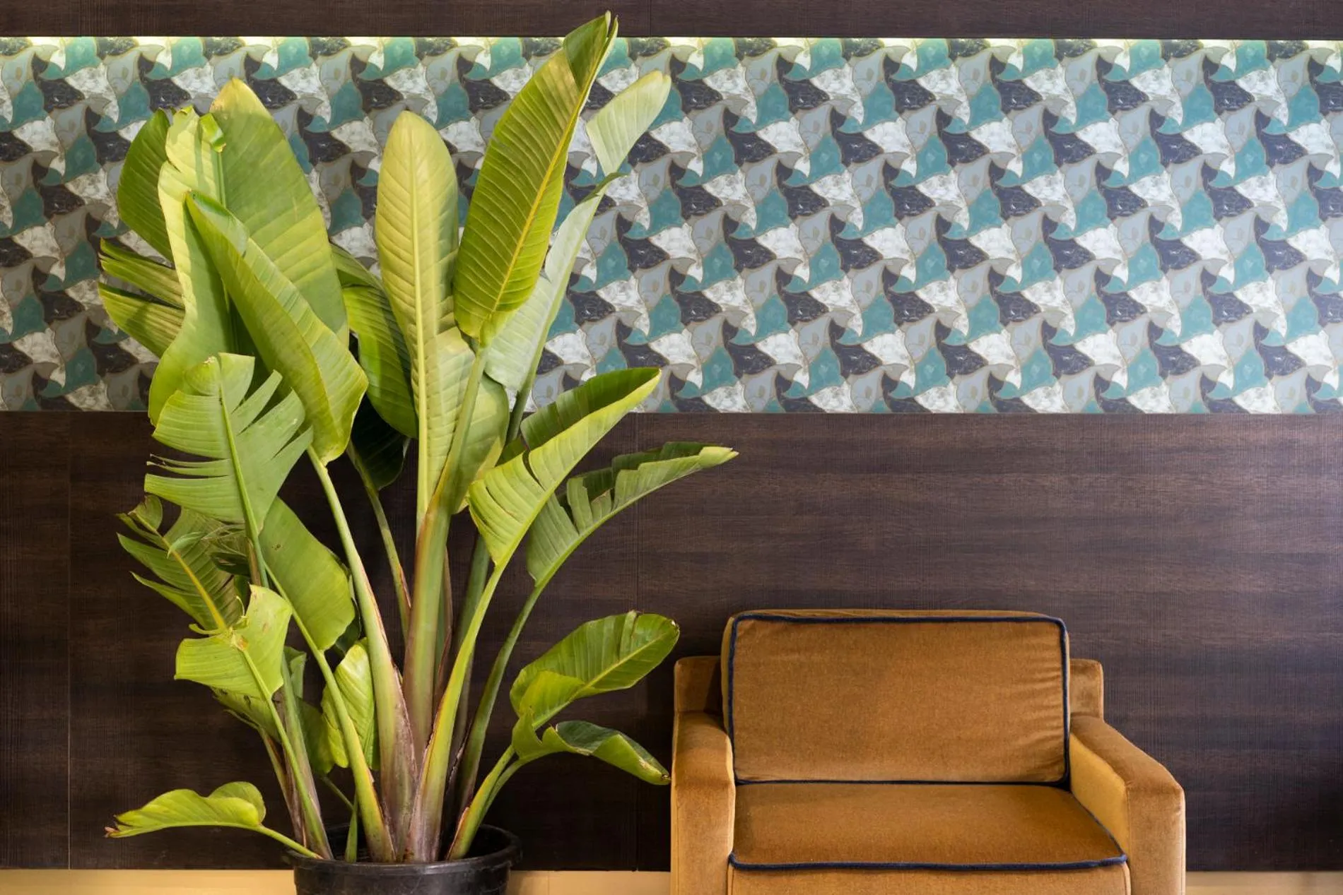 Lobby or reception in Hotel American-Dinesen