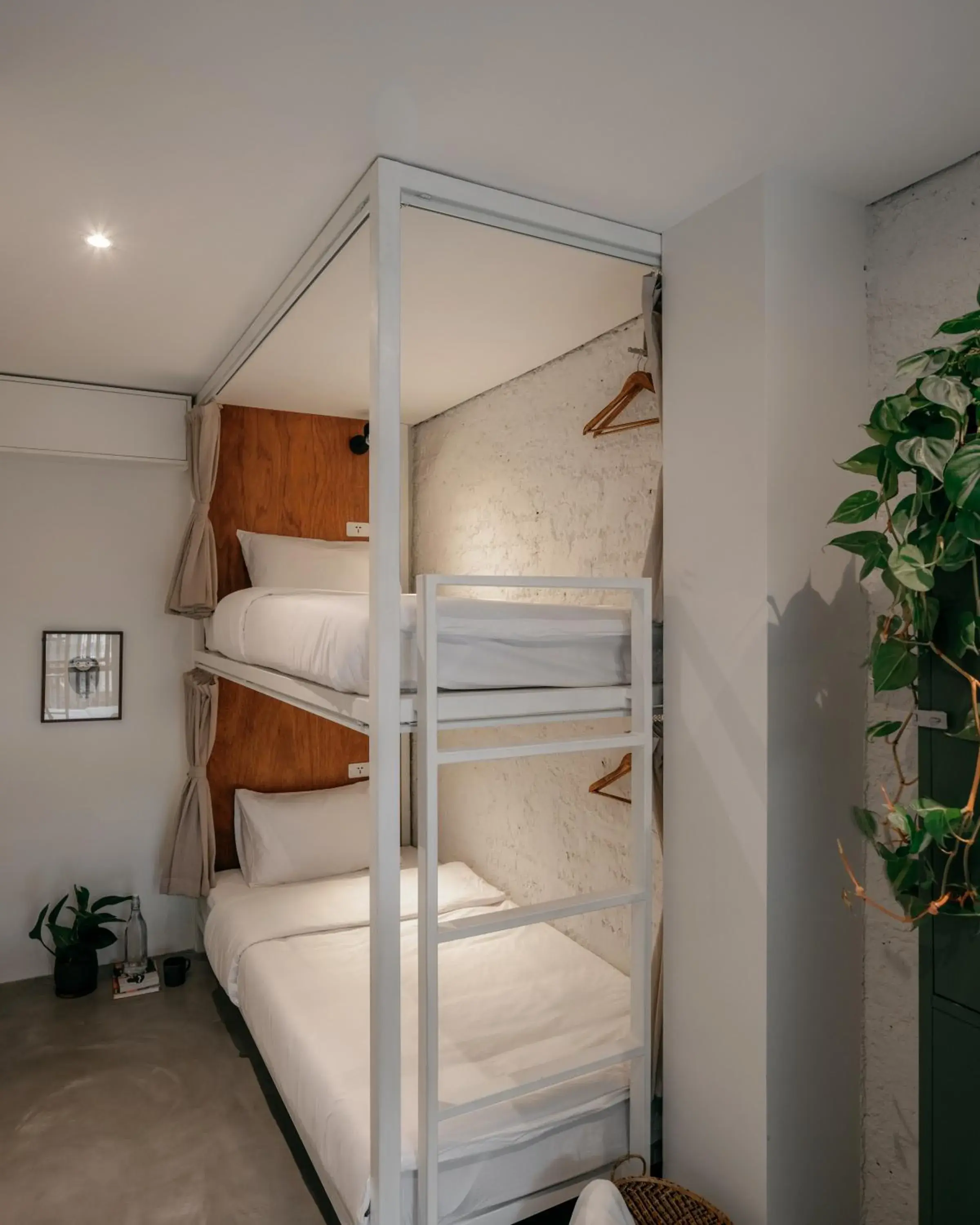 Bed in 4-Bed Mixed Dormitory Room in Tamni Bed in 4-Bed Mixed Dormitory Room in Tamni