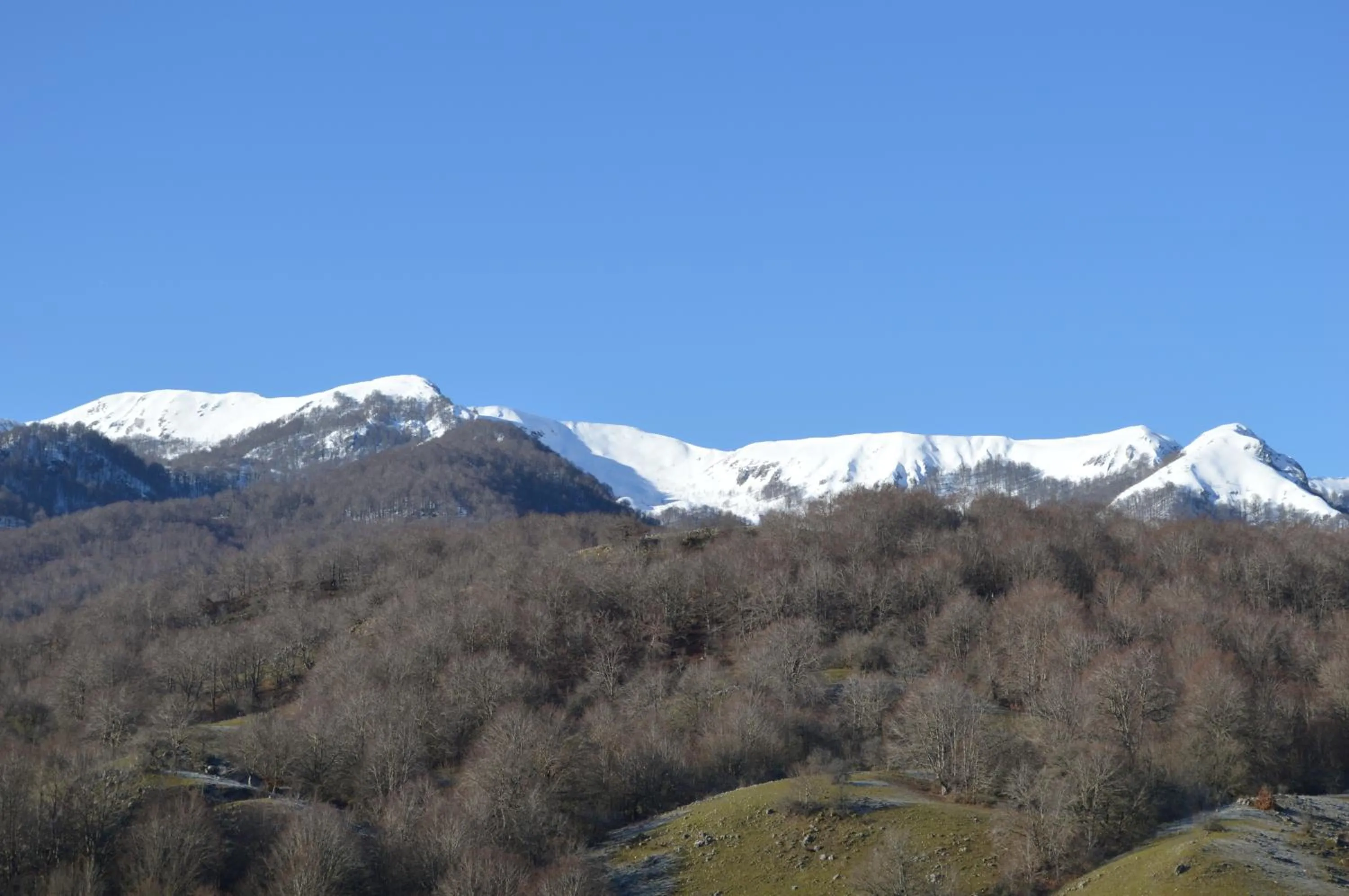 Natural landscape in Hotel Pinguino