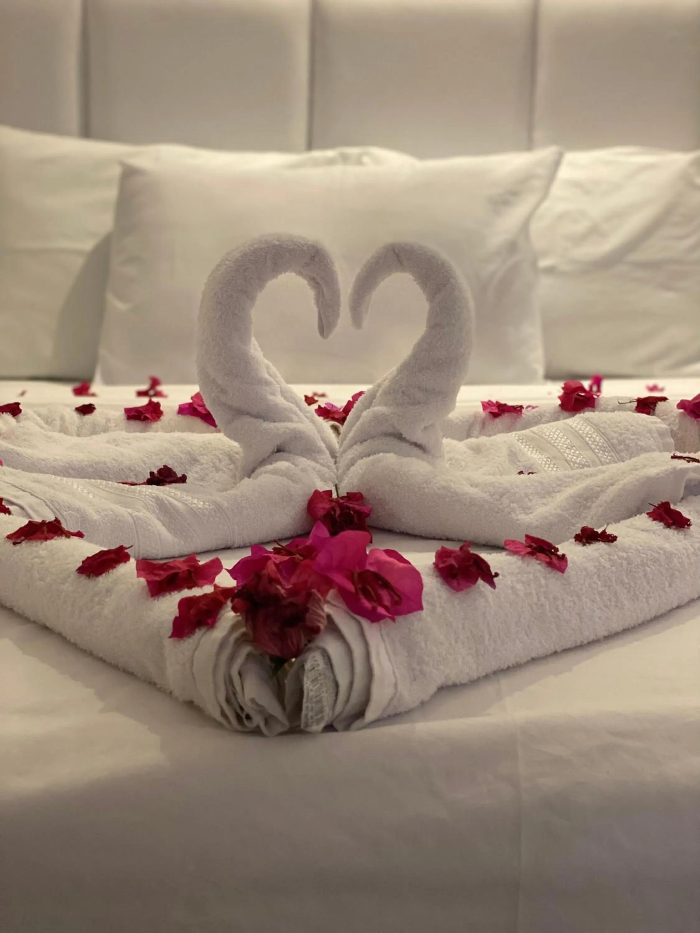 Bed in MATURI CENTRO