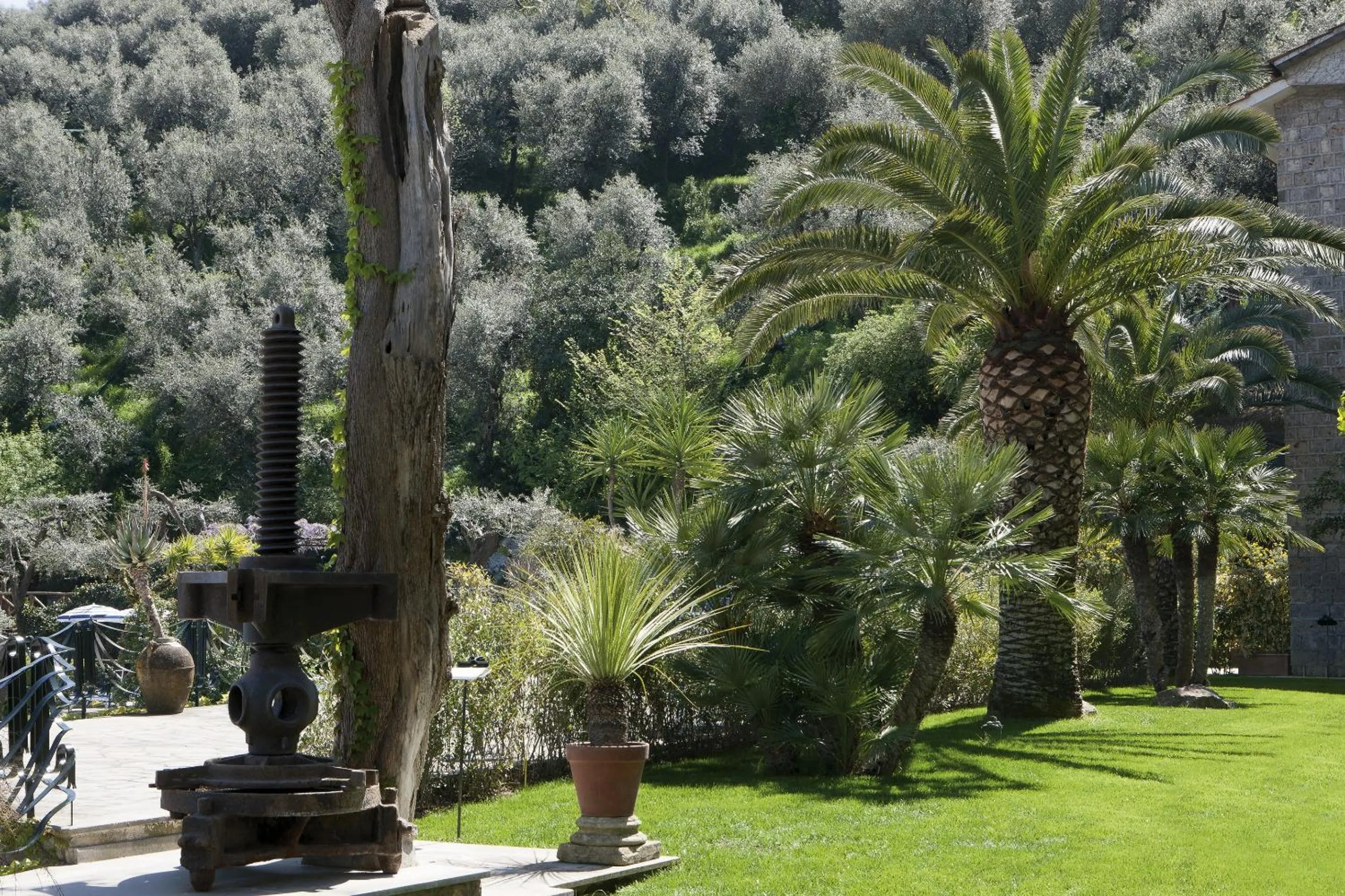 Garden in Grand Hotel Capodimonte