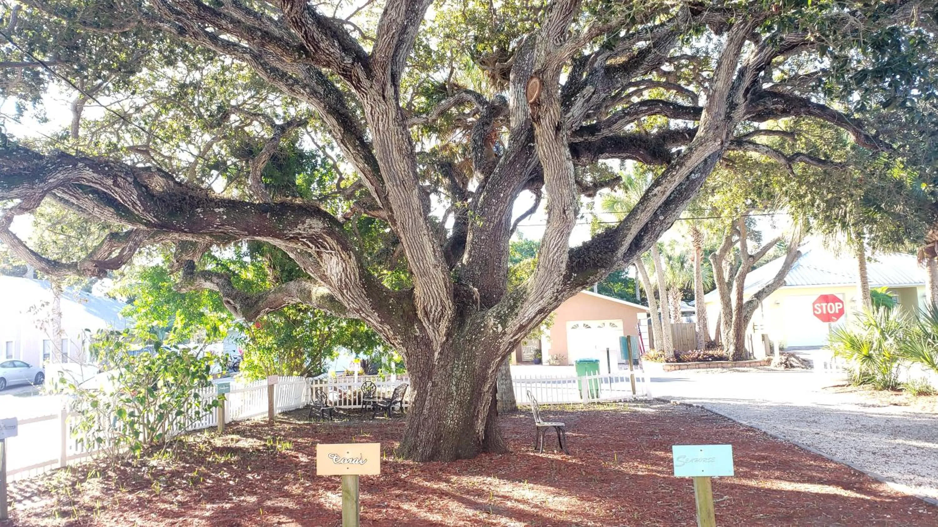 Patio in Inn on the Avenue