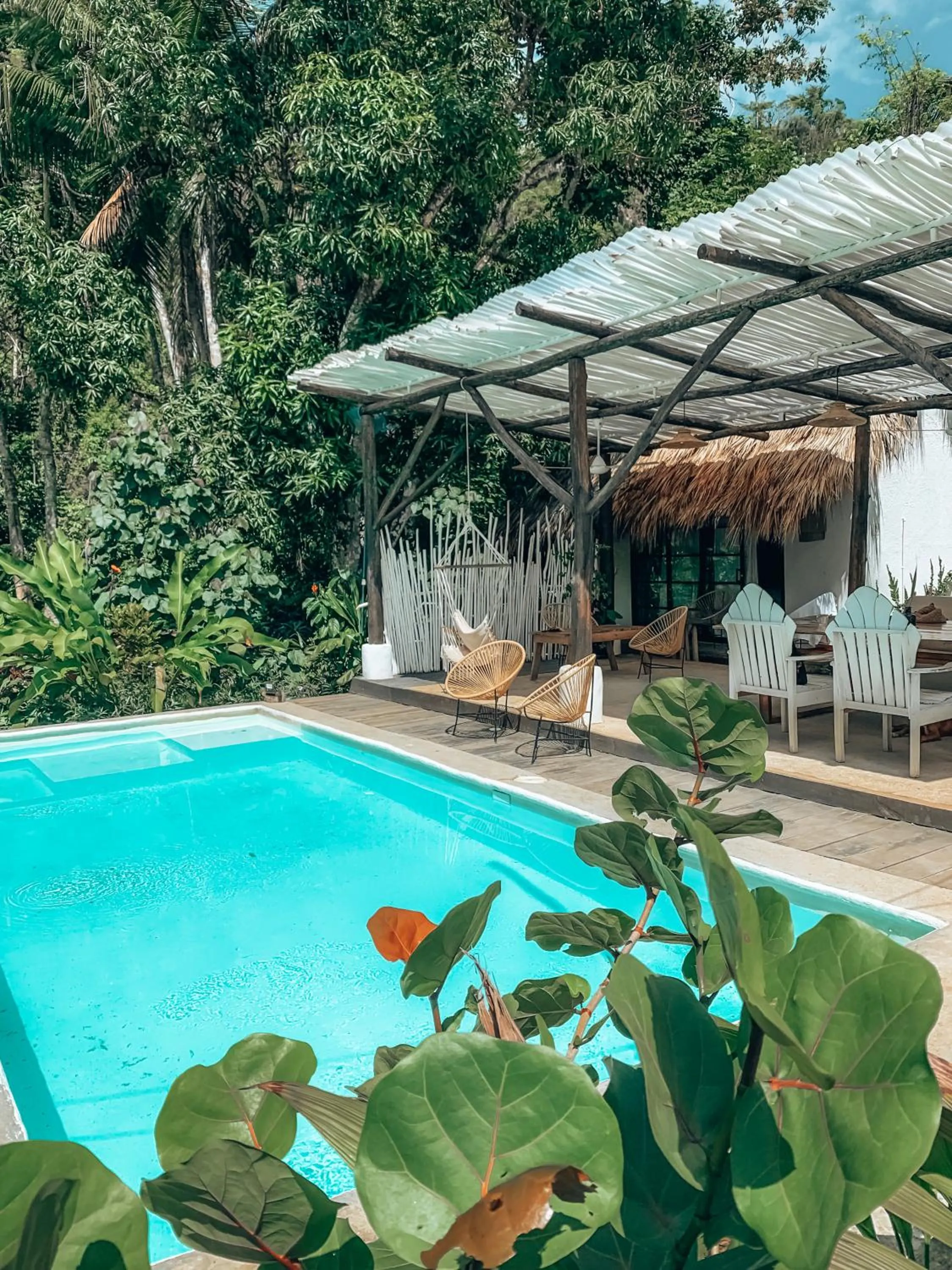 Garden in La Colmena RD