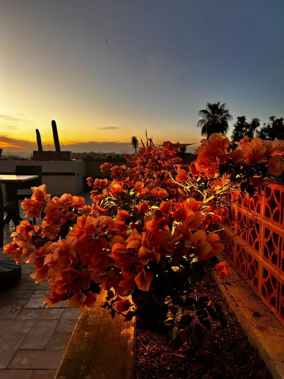 Sunset in Bito's Hotel Boutique