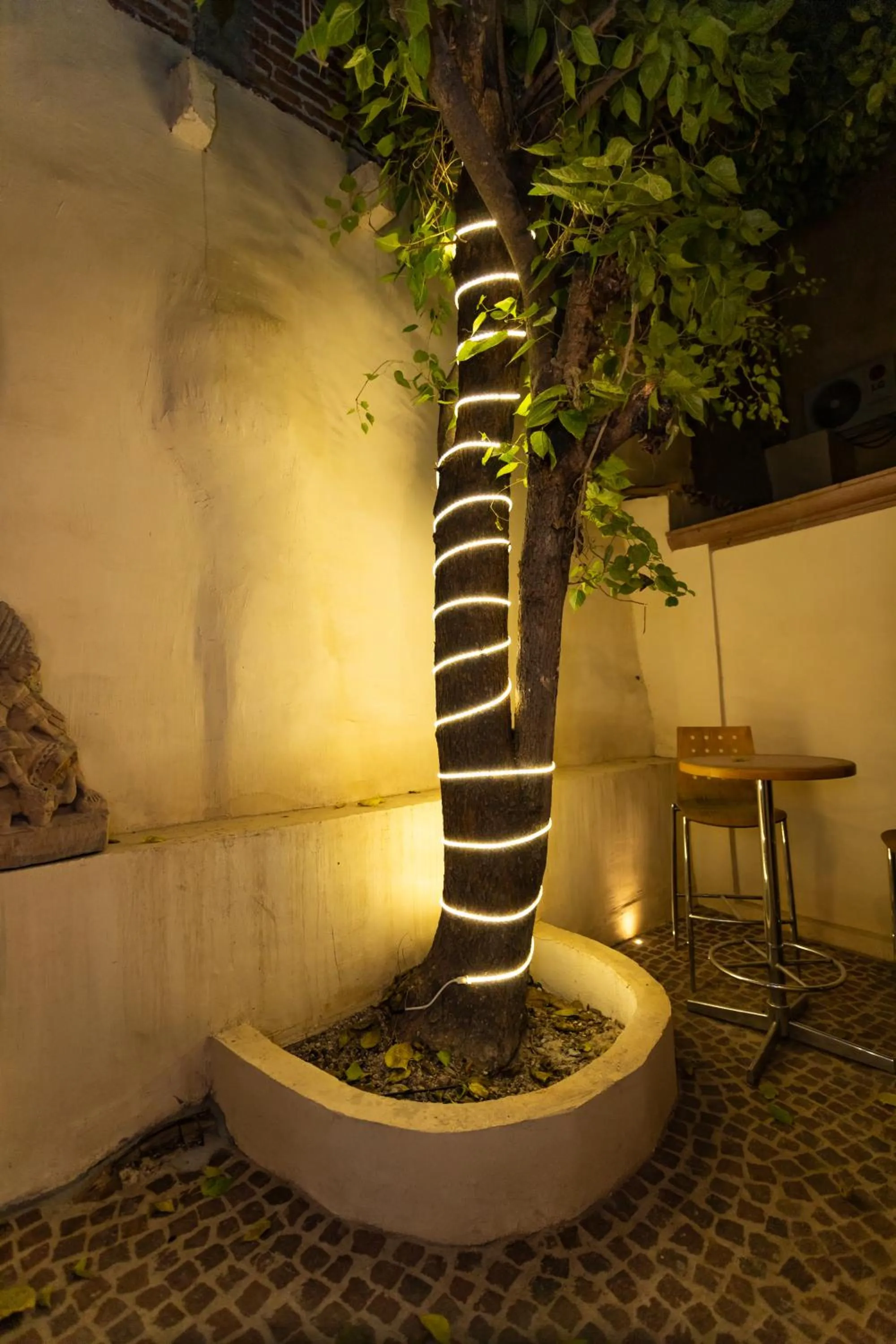 Patio in Bito's Hotel Boutique